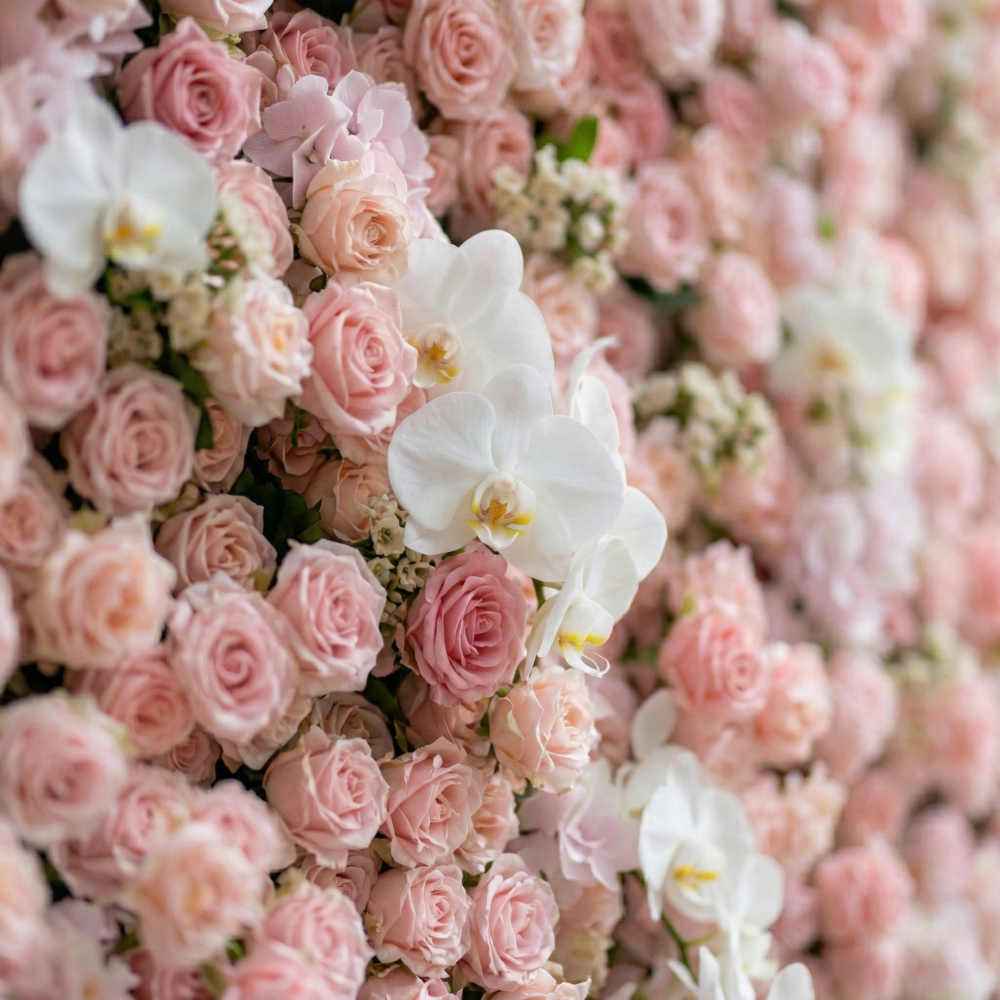 Sabine: 5D Blush Pink Silk Rose Flower Wall with White Orchid for Elegant Weddings &amp; Ballroom Receptions