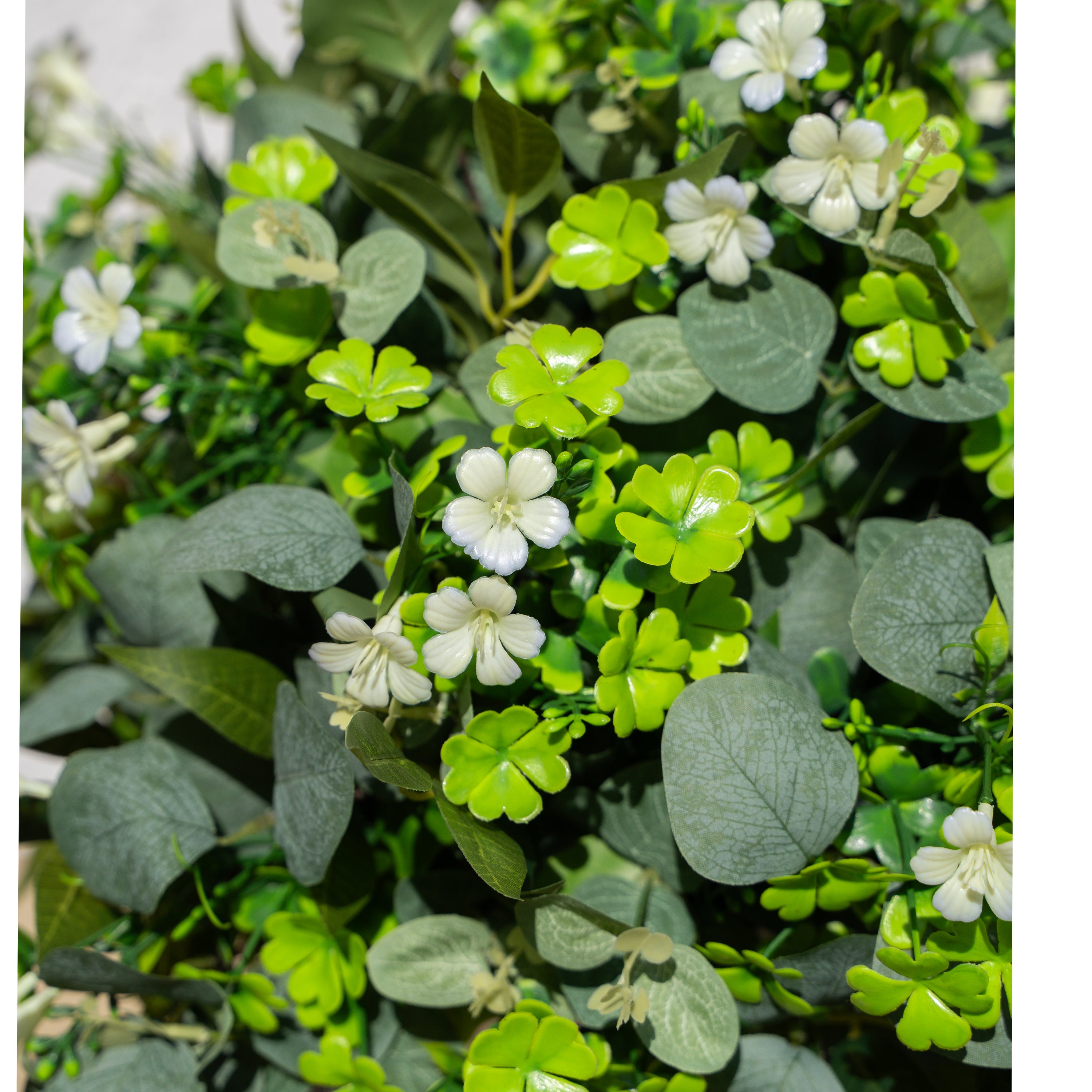 St.Patrick&