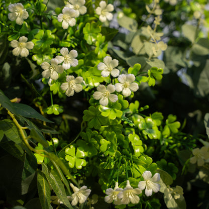 Shamrock:  St. Patrick’s Day Decor Flower Arch for Background Decoration Wedding and Party  (Including Frame)