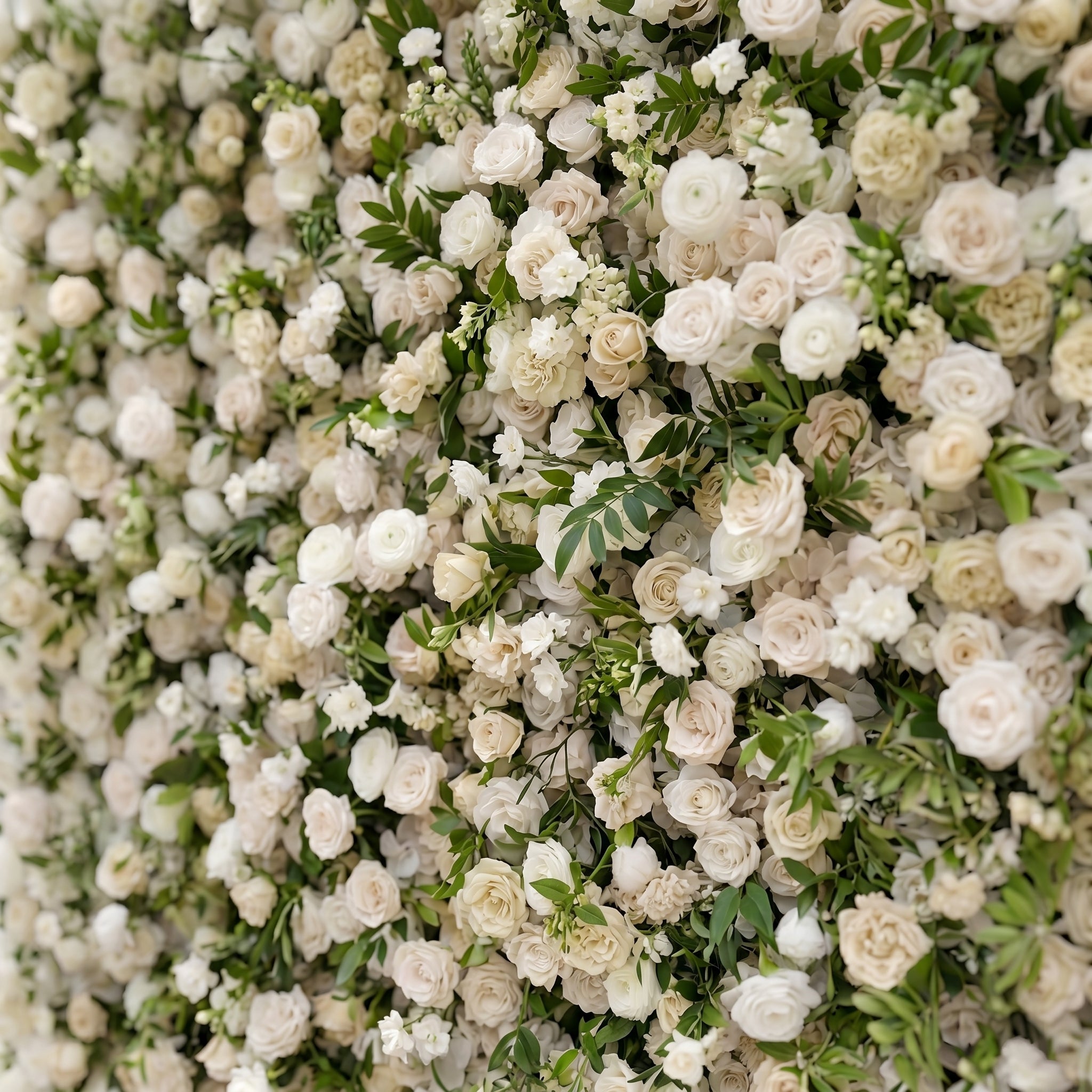Sirenbelle:Luxury 5D Cream &amp; Ivory Silk Floral Wall Roll-Up Backdrop for Timeless Elegant Weddings