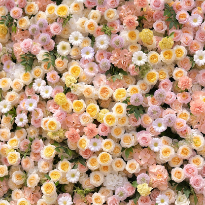 Sirensola:5D Peach Orange, Blush Pink &amp; Ivory White Silk Rose Flower Wall Roll-Up Fabric Backdrop for Romantic Weddings &amp; Proposals