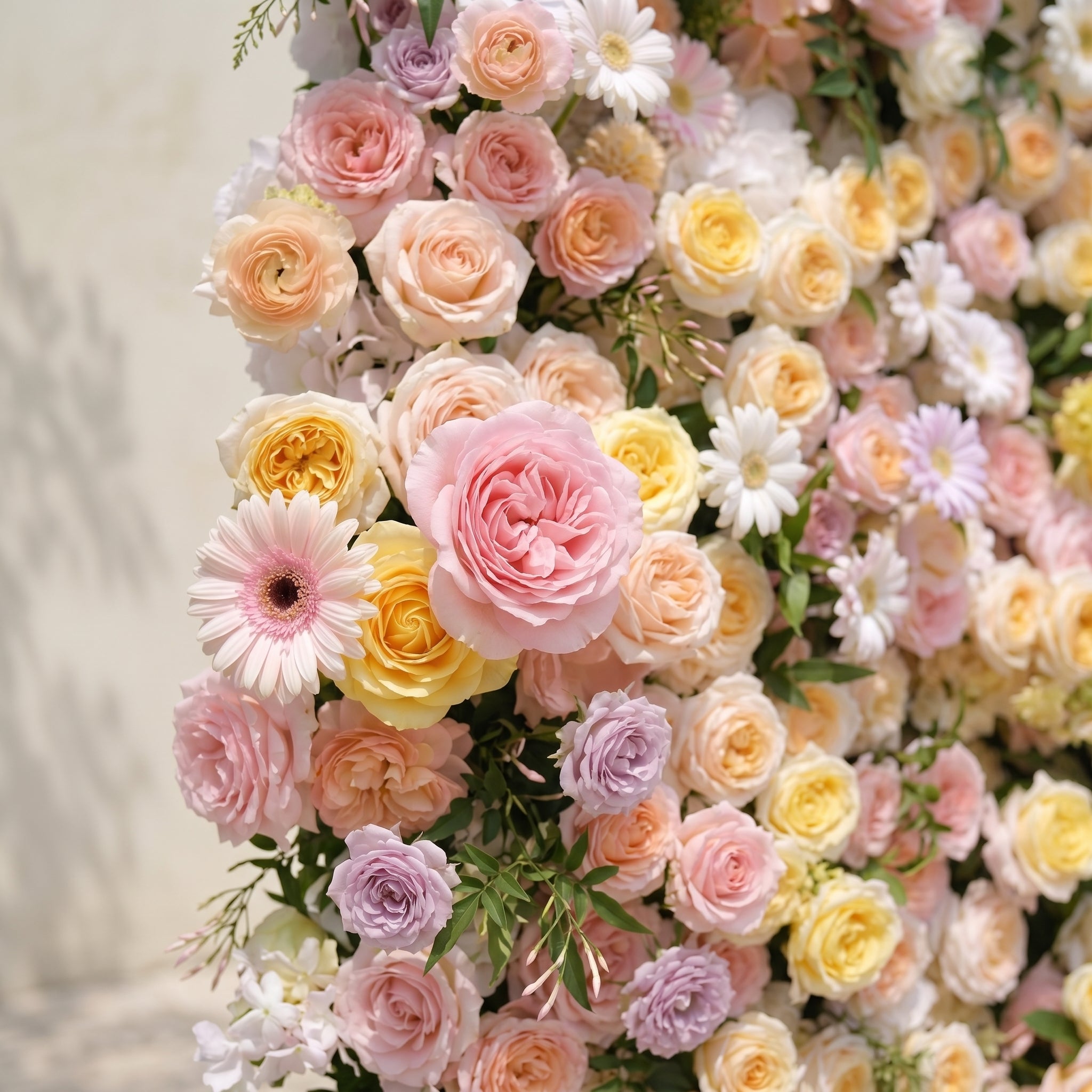 Sirensola:5D Peach Orange, Blush Pink &amp; Ivory White Silk Rose Flower Wall Roll-Up Fabric Backdrop for Romantic Weddings &amp; Proposals