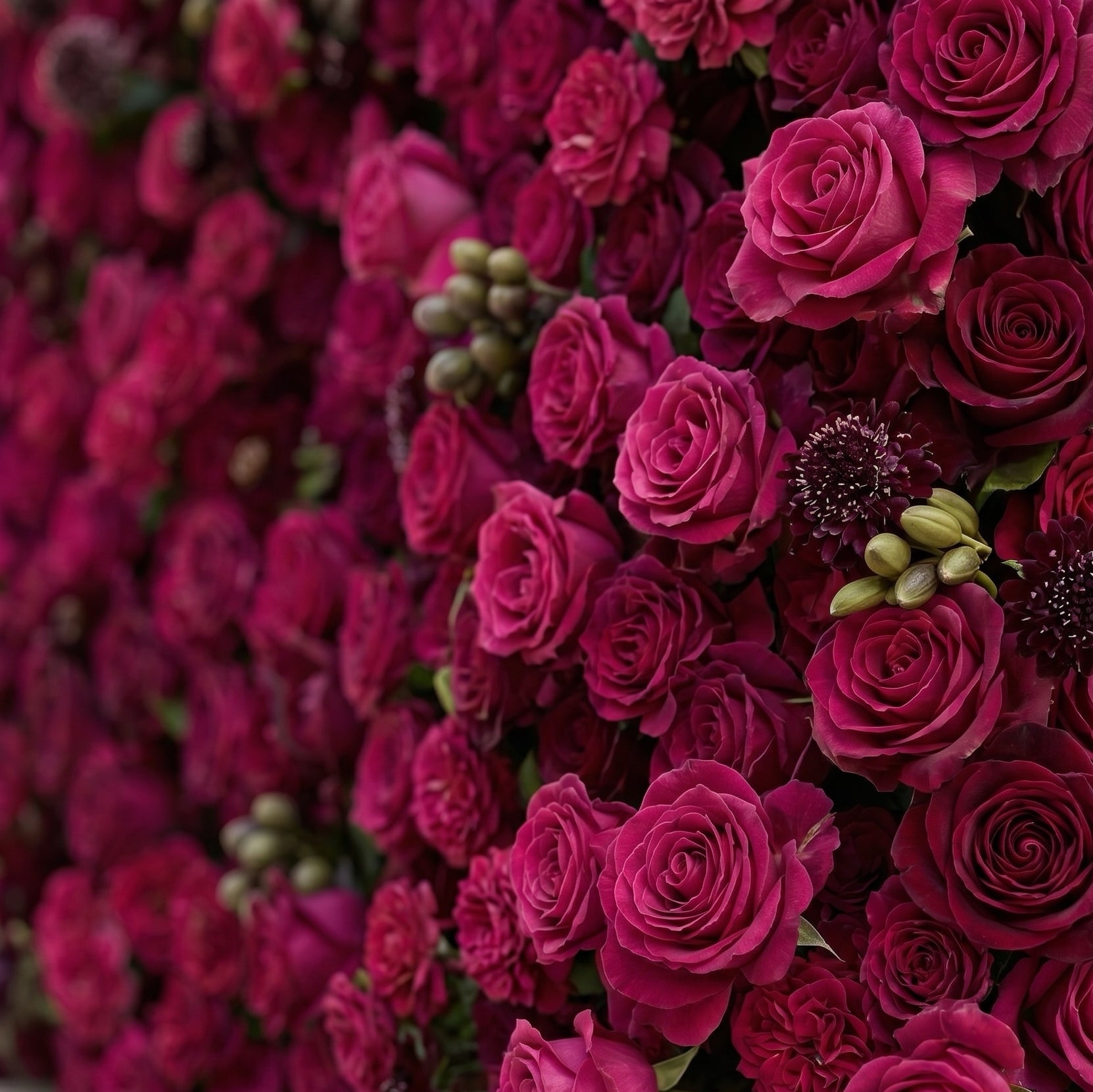 Soliva: Luxury 4D Deep Berry &amp; Magenta Silk Floral Wall Backdrop for Sophisticated Moody Weddings &amp; Galas