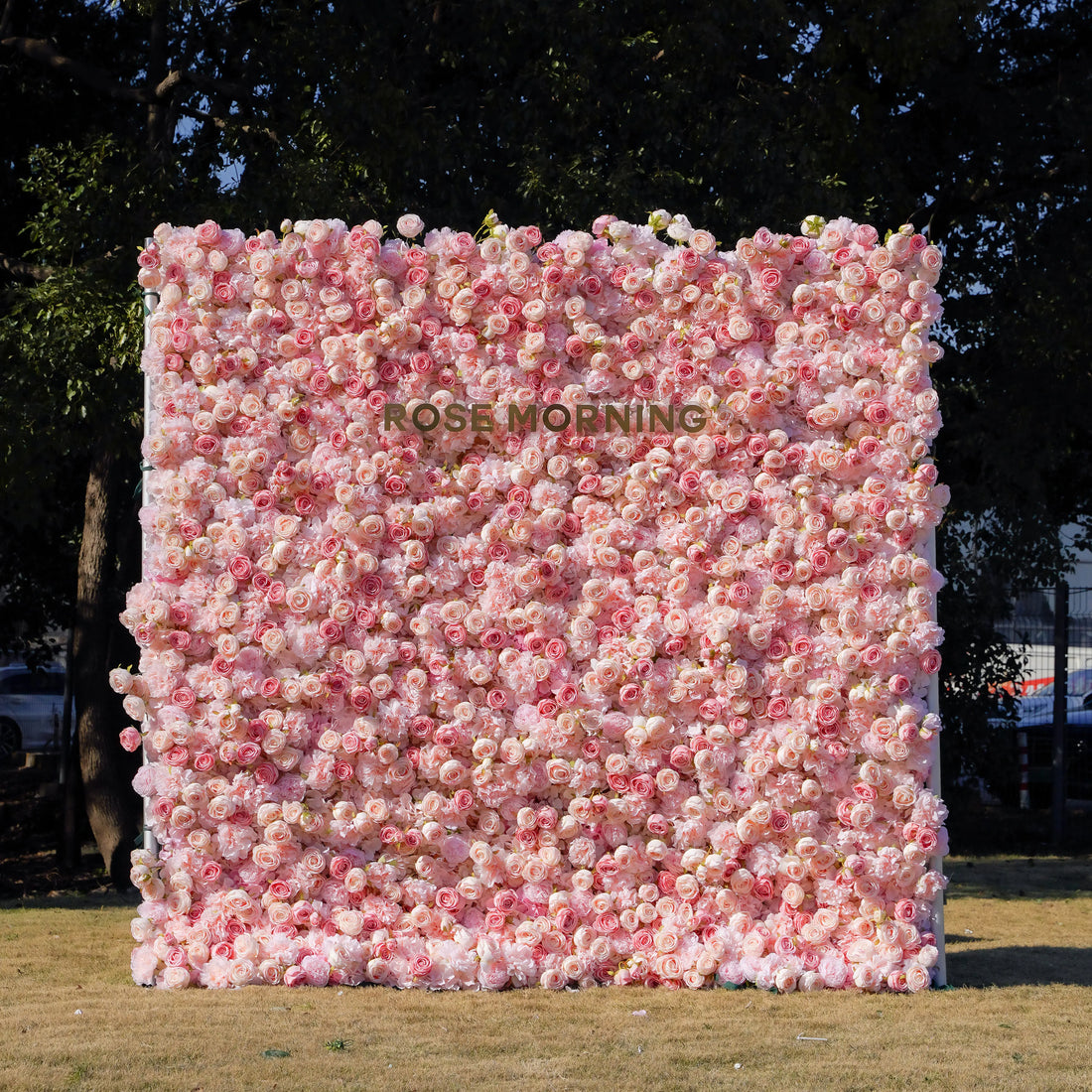 Sue:5D Garden Series New Fabric Artificial rolling up curtain flower wall Rose Morning