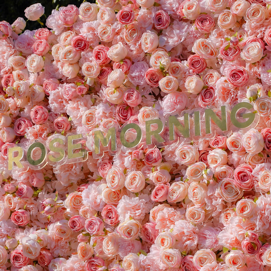 Sue：5D Garden Series New Fabric Artificial rolling up curtain flower wall Rose Morning