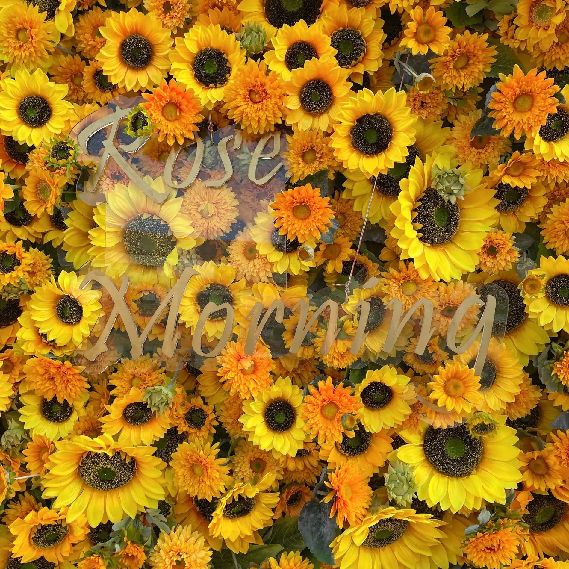 Sunflower：5D Fabric Artificial rolling up curtain flower wall