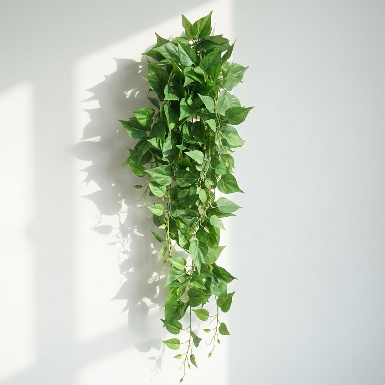 Indoor hanging plants for home decor: spider plants, wall-mounted pothos vines, and rattan leaves.