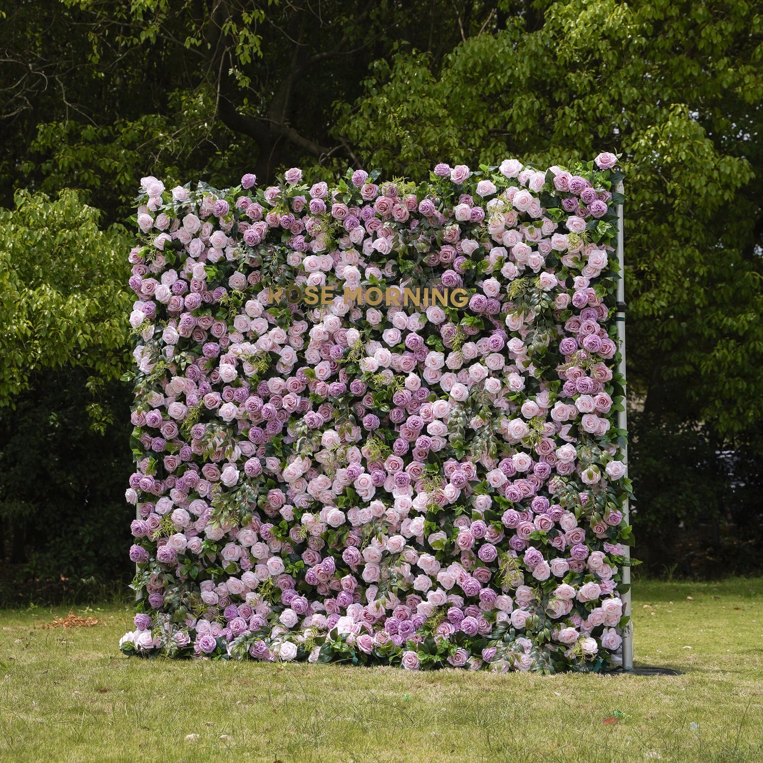 Tamara：5D Fabric Artificial rolling up curtain flower wall Rose Morning