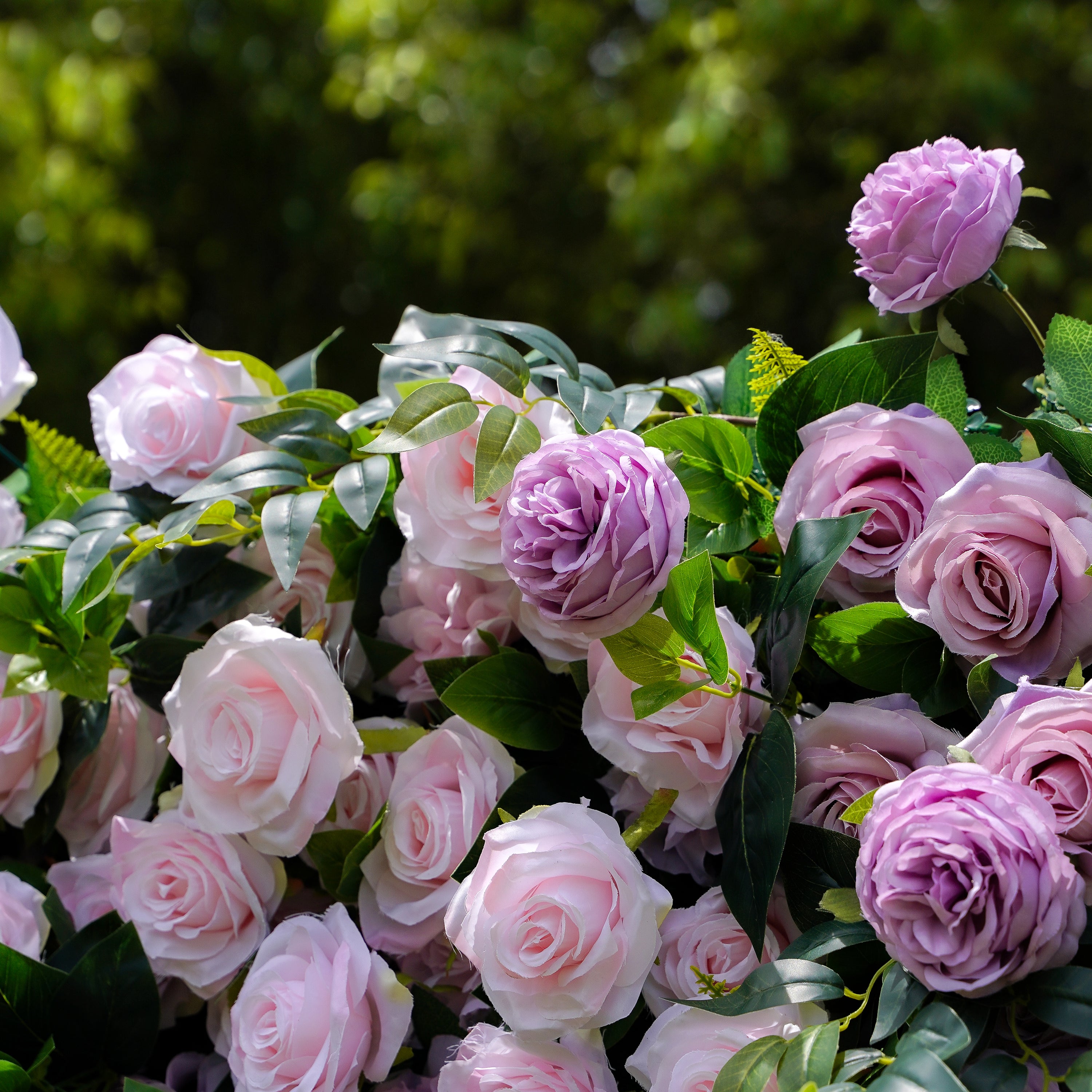 Tamara：5D Fabric Artificial rolling up curtain flower wall Rose Morning