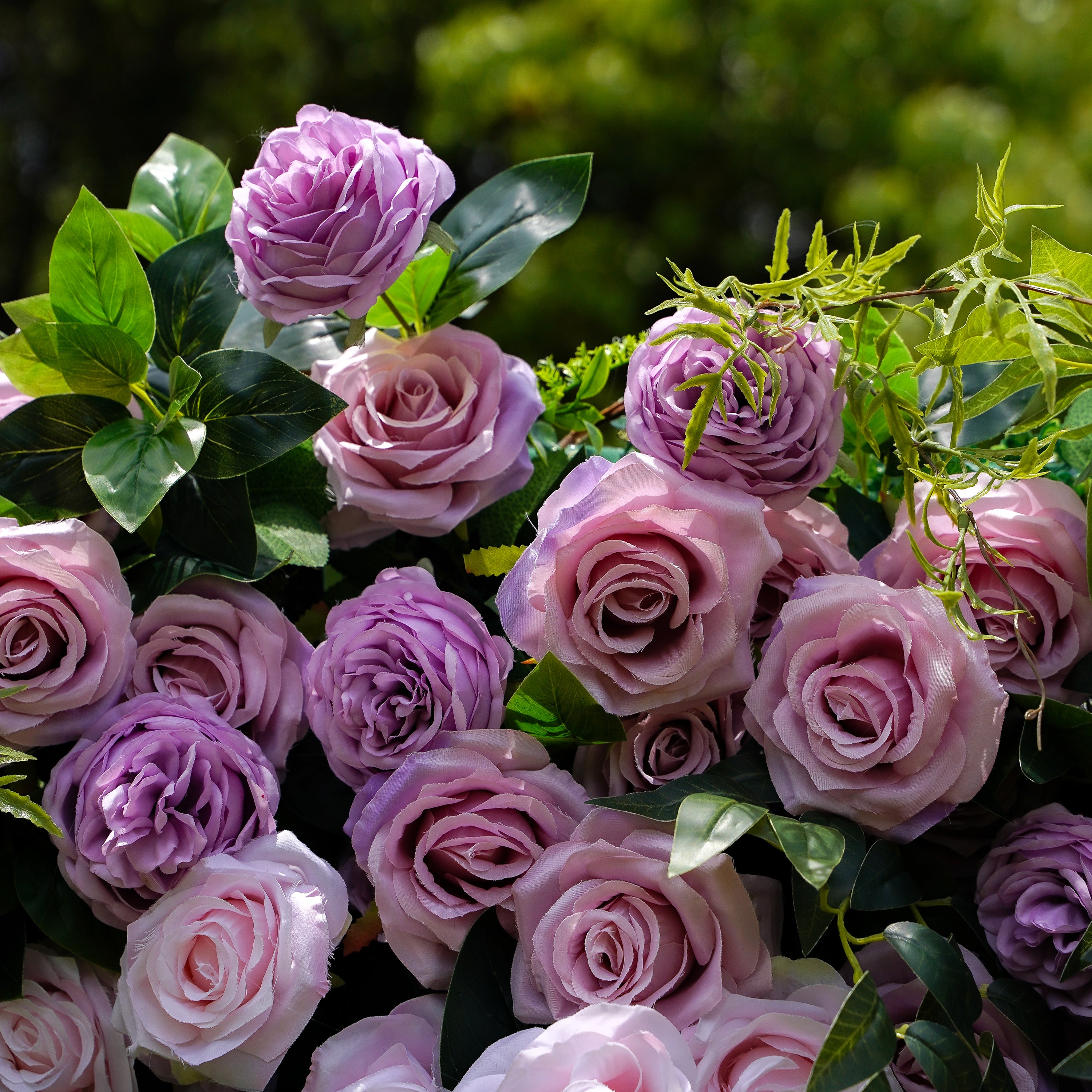 Tamara：5D Fabric Artificial rolling up curtain flower wall Rose Morning