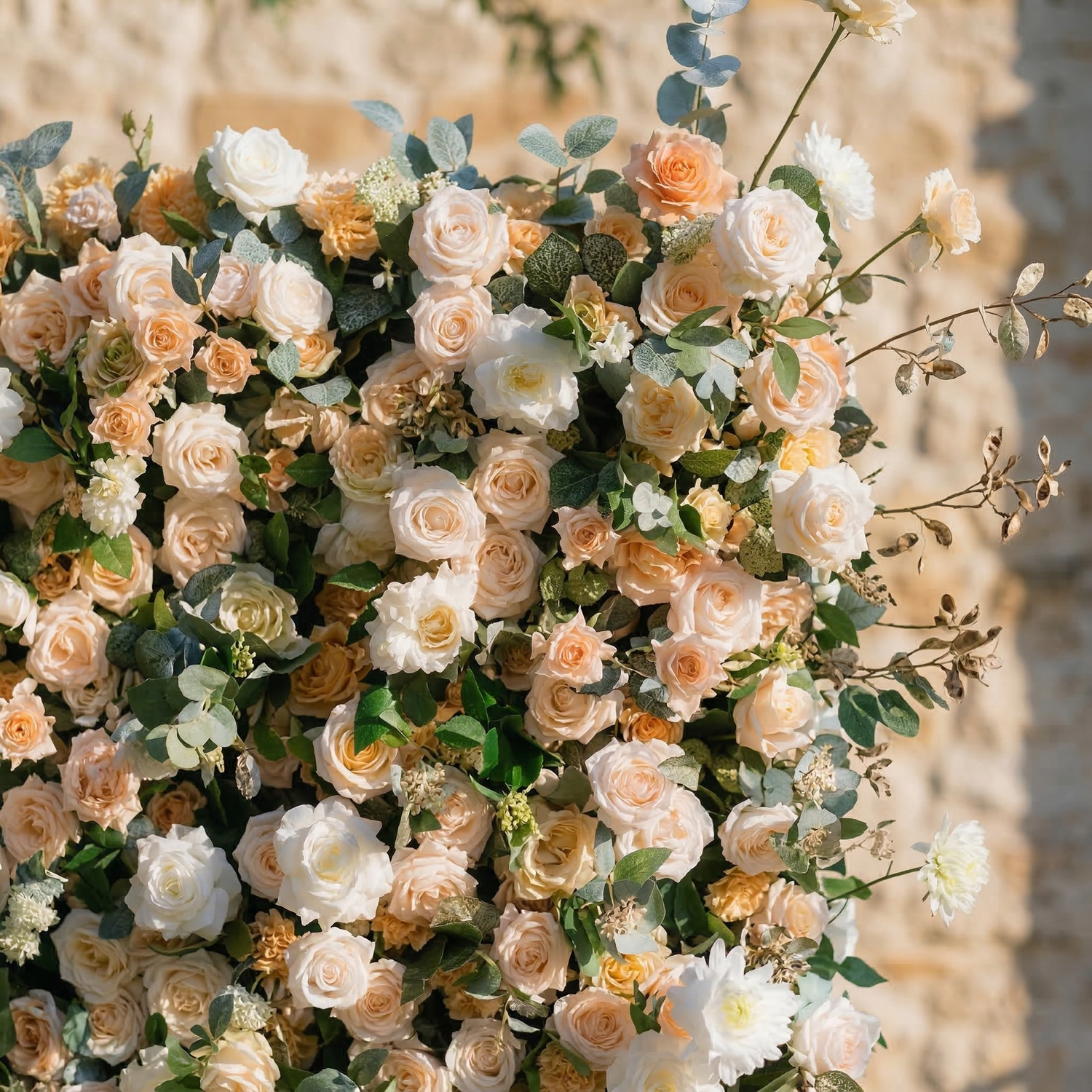 Tarelle: 5D Champagne and Cream Silk Rose Flower Wall Roll-Up Fabric Backdrop for Garden Weddings &amp; Events