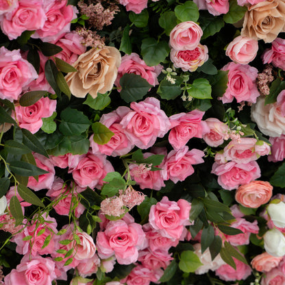 Valevia:5D Multi Tone Hot Pink &amp; Ivory White Silk Rose Flower Wall Roll-Up Fabric Backdrop for Romantic Weddings &amp; Proposals