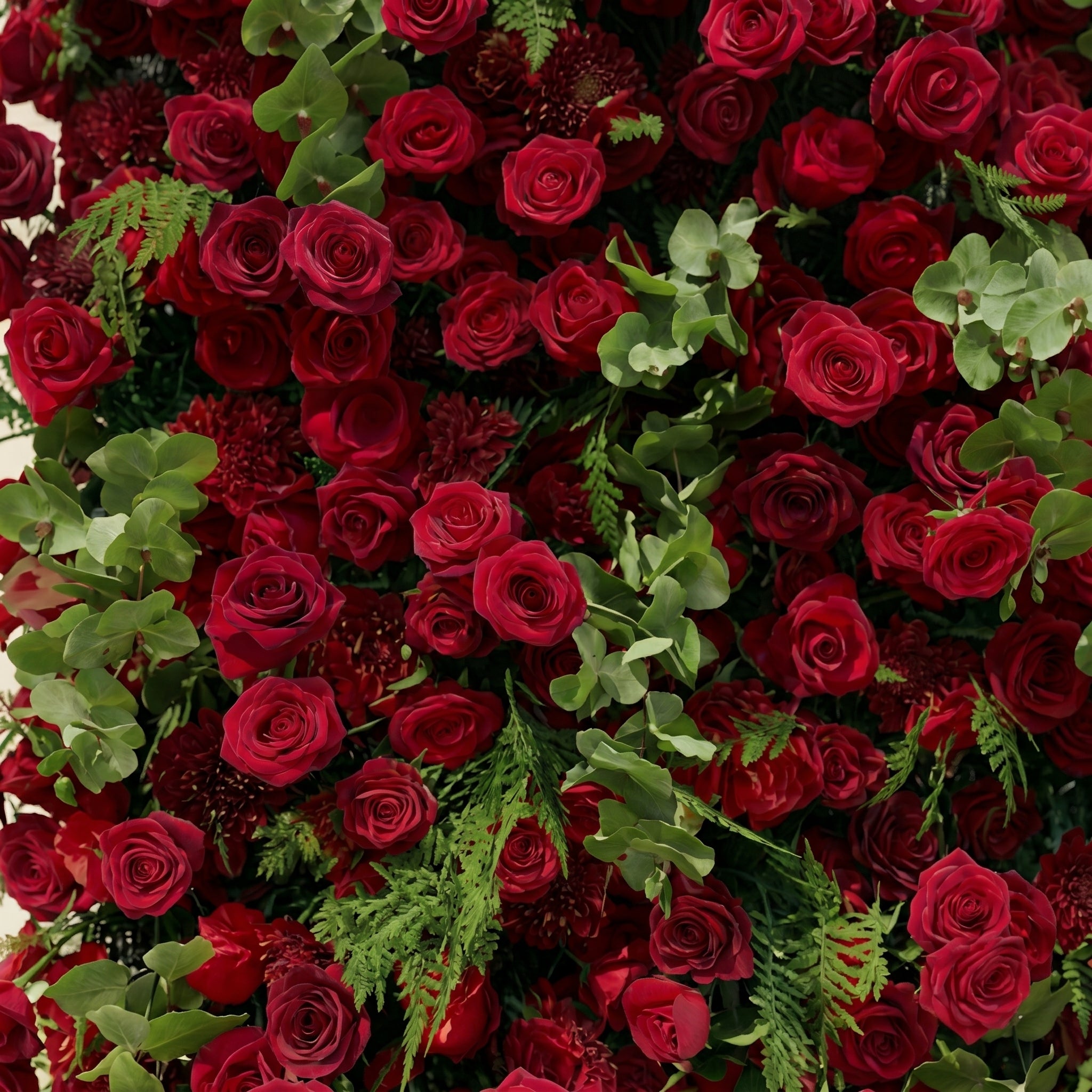 Velrella:Luxury 5D Red Roses Silk Floral Wall with Greenery Roll-Up Backdrop for Romantic Weddings