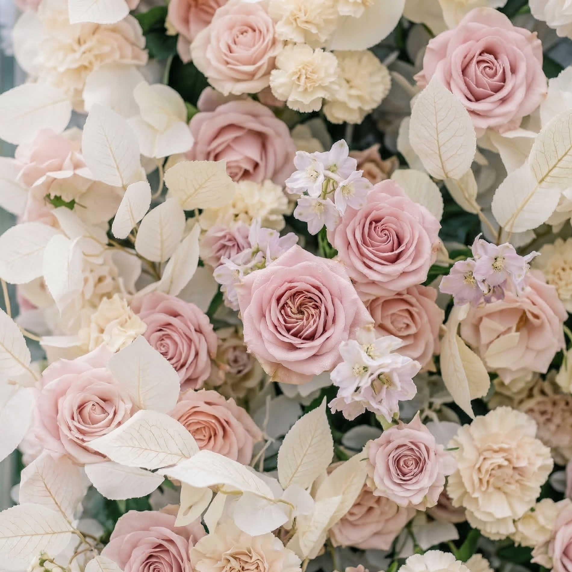 Vexira: 4D Dusty Pink Silk Rose Flower Wall Roll-Up Fabric Backdrop for Romantic Weddings &amp; Proposals