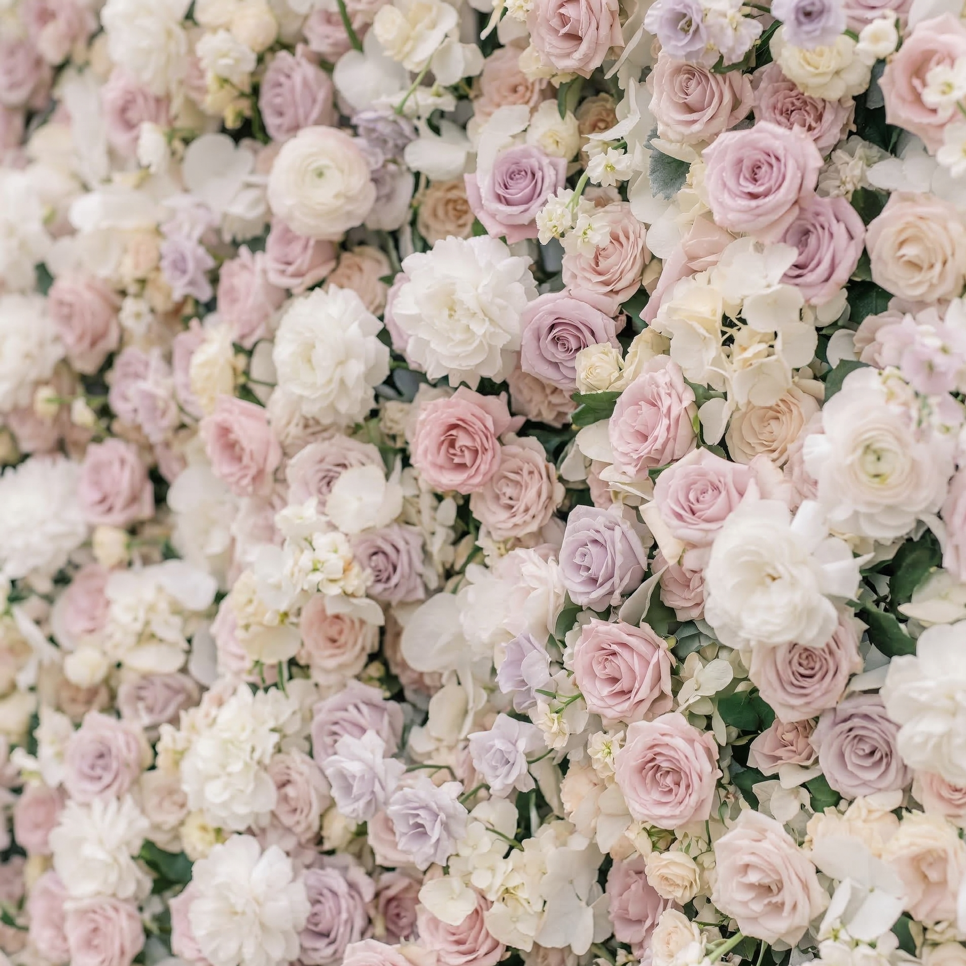 Vexira: 4D Dusty Pink Silk Rose Flower Wall Roll-Up Fabric Backdrop for Romantic Weddings &amp; Proposals