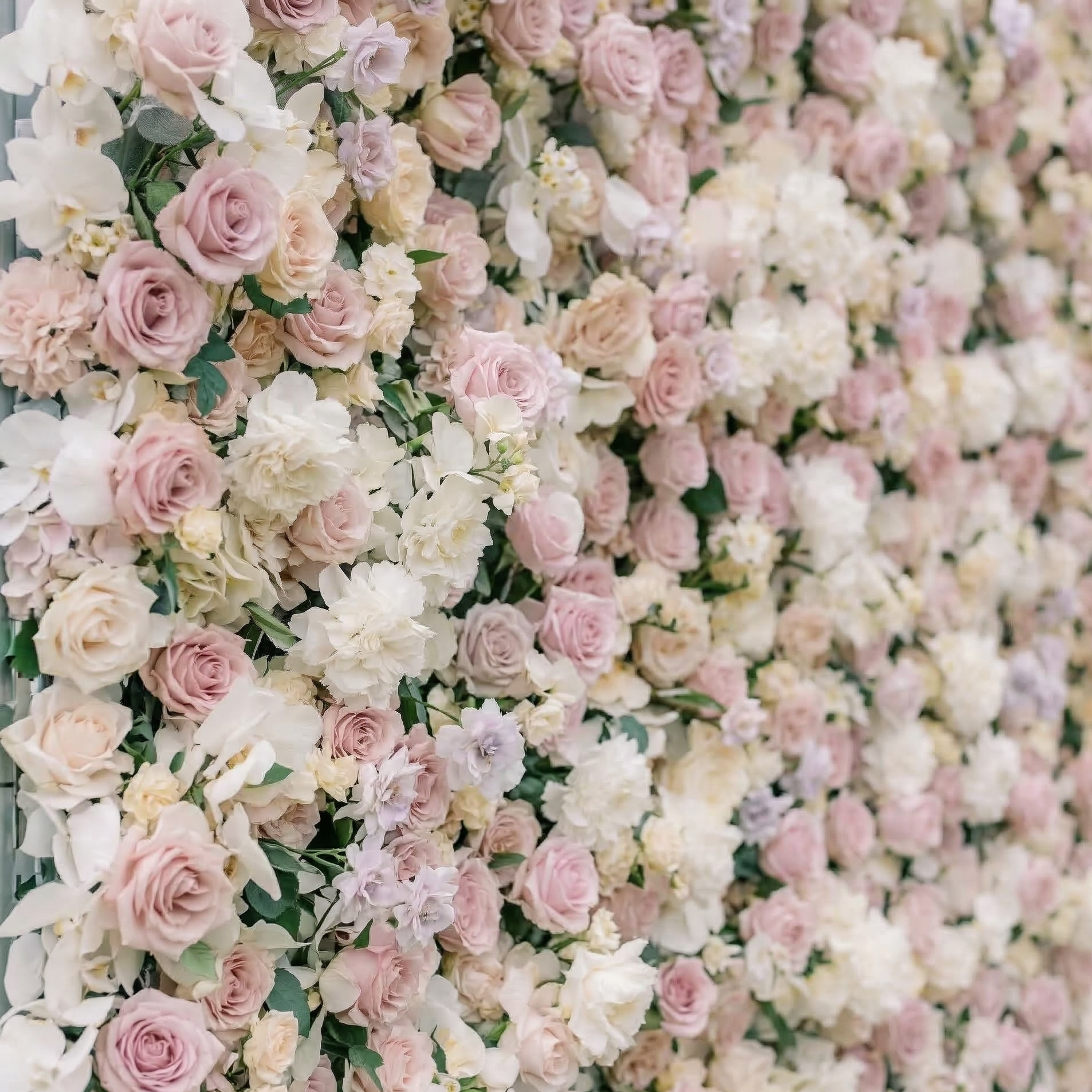 Vexira: 4D Dusty Pink Silk Rose Flower Wall Roll-Up Fabric Backdrop for Romantic Weddings &amp; Proposals