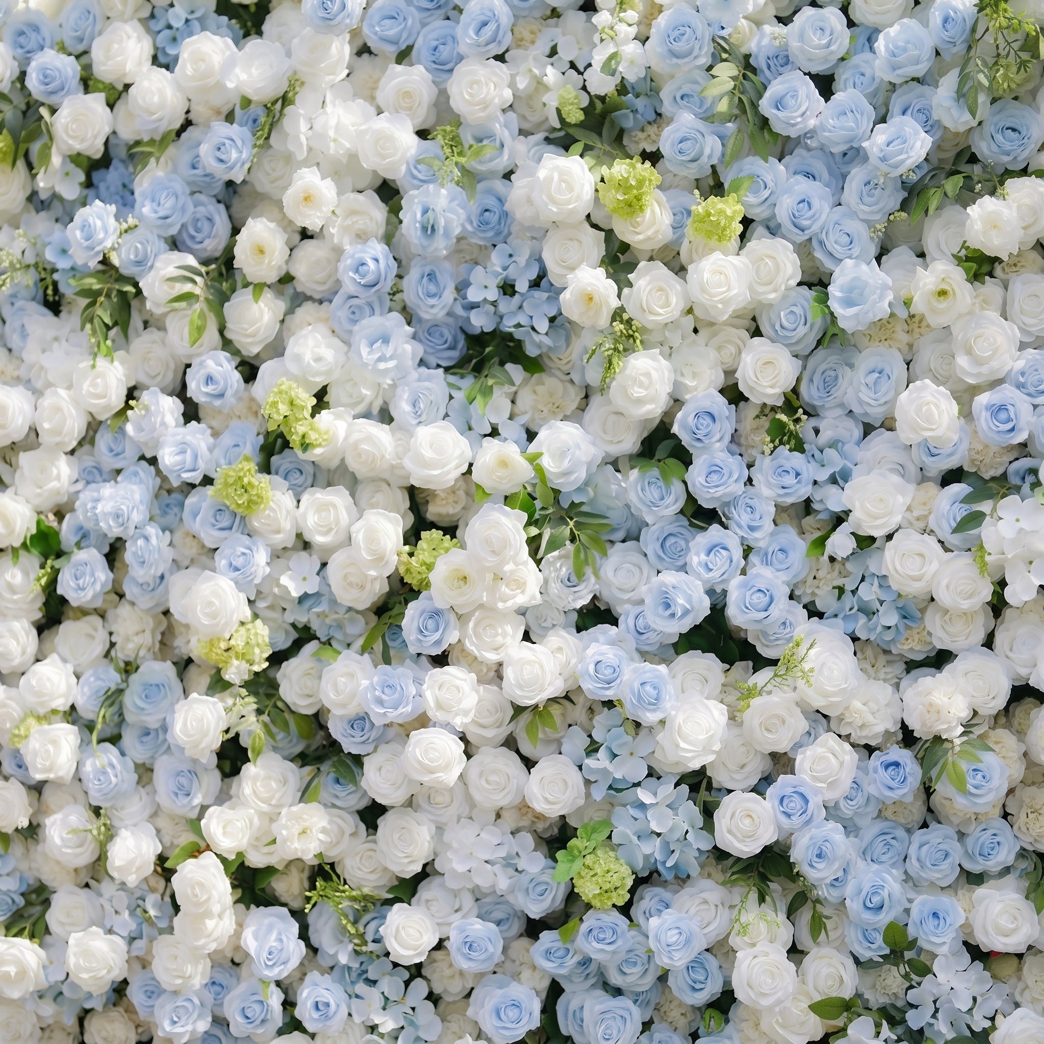 Zarenette:5D Dusty Baby Blue &amp; Ivory White Silk Rose Flower Wall Roll-Up Fabric Backdrop for Romantic Weddings &amp; Proposals
