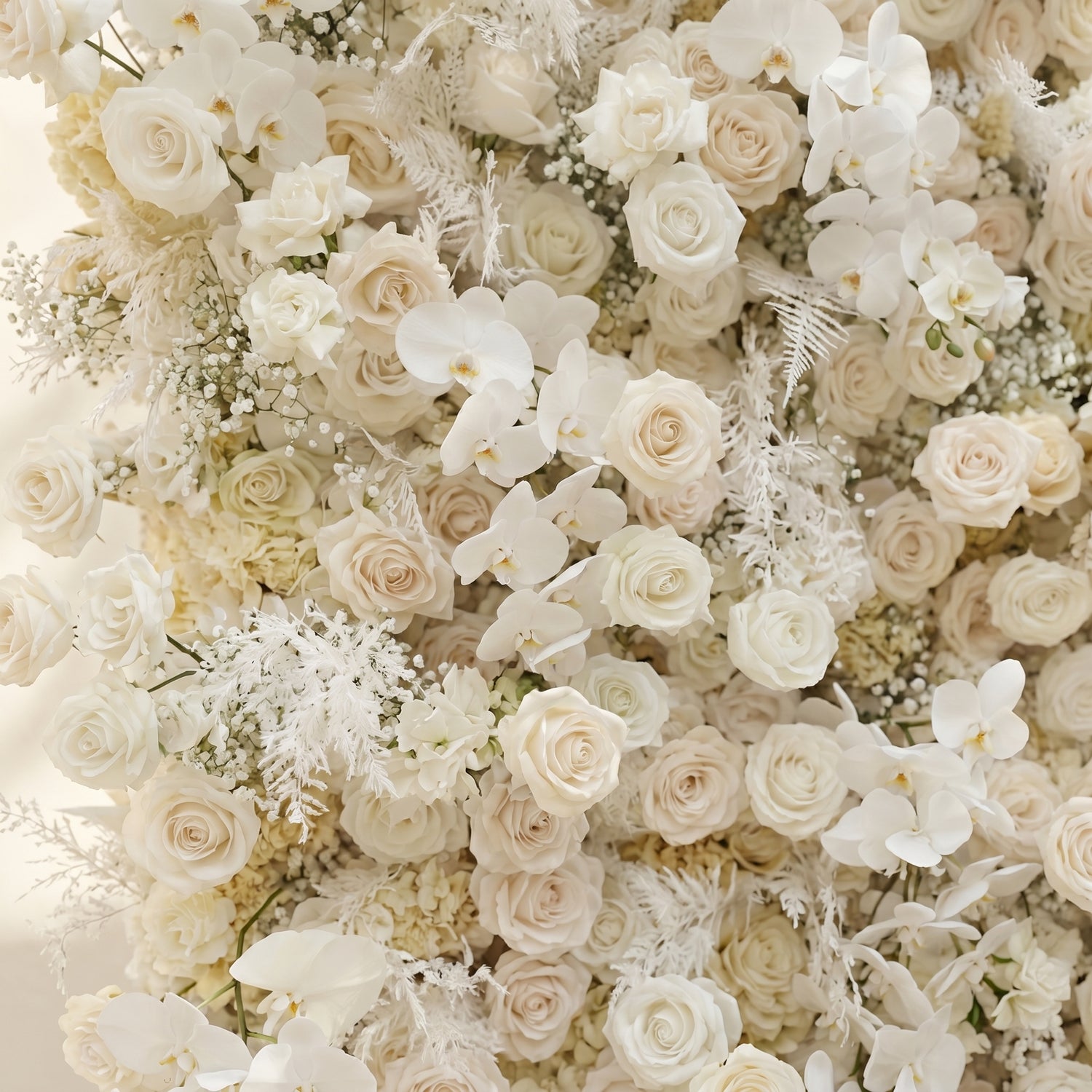 Zelaria:5D Cream White &amp; Ivory White Silk Rose Flower Wall Roll-Up Fabric Backdrop for Romantic Weddings &amp; Proposals