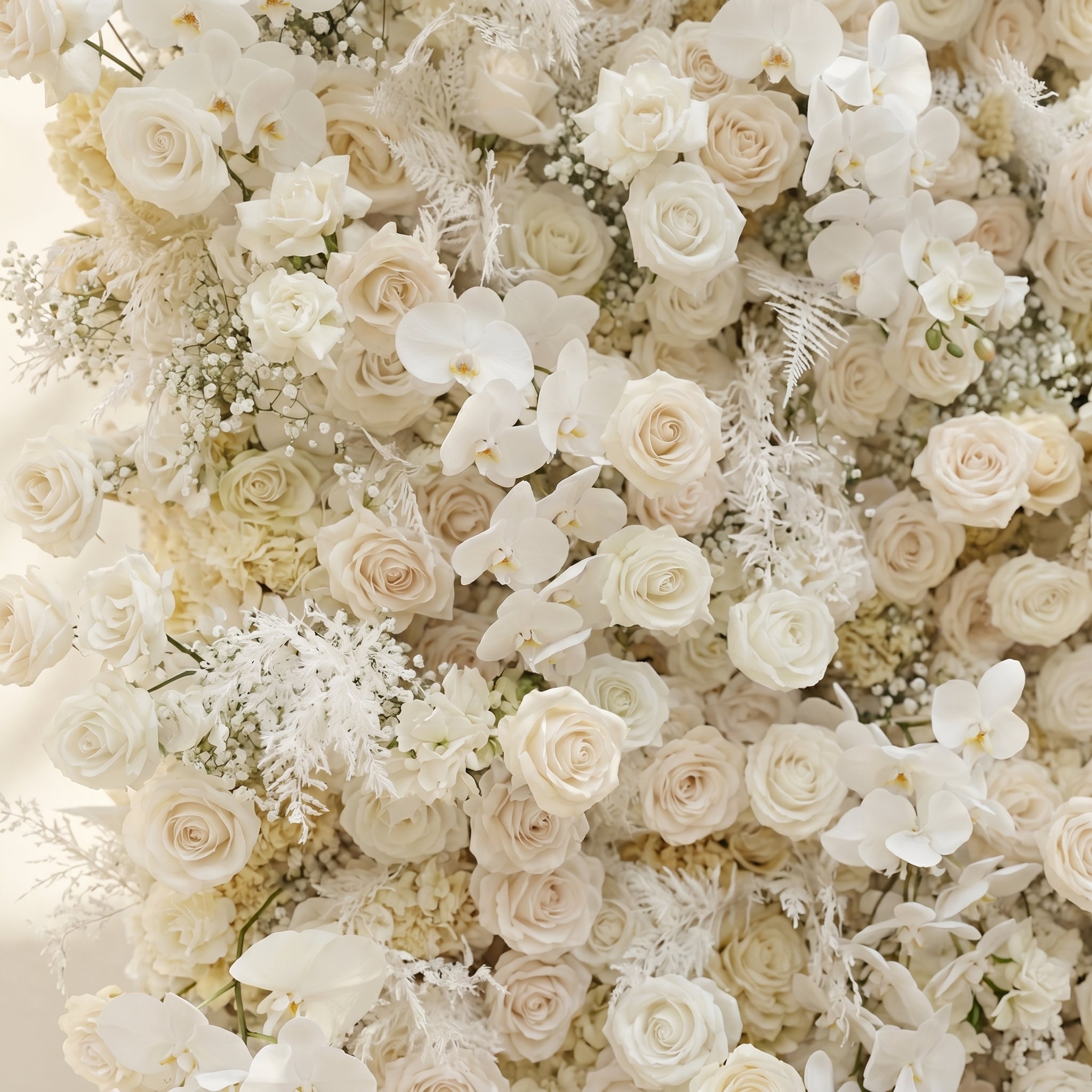 Zelaria:5D Cream White &amp; Ivory White Silk Rose Flower Wall Roll-Up Fabric Backdrop for Romantic Weddings &amp; Proposals