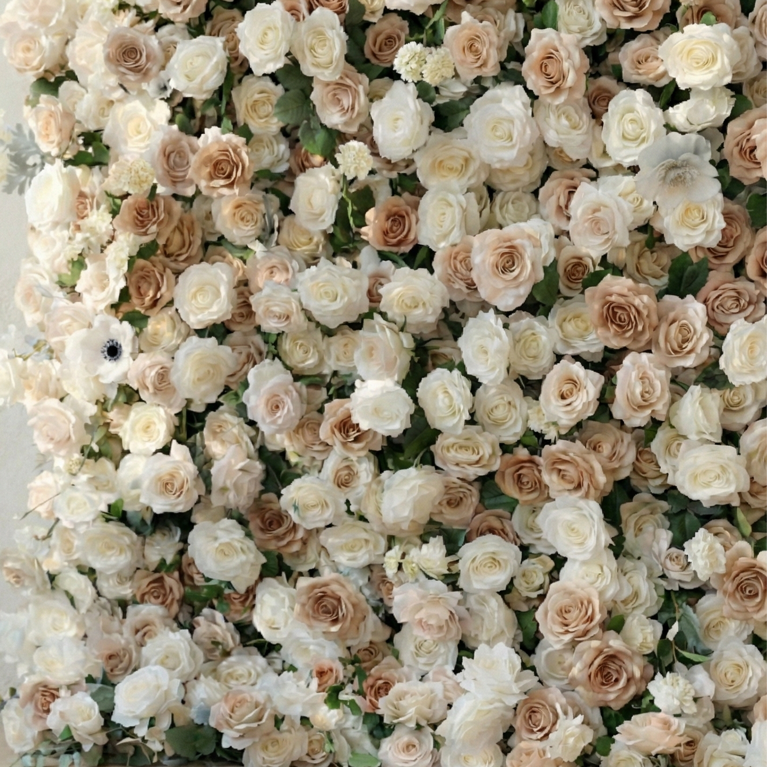 Ziven: 5D Elegant Latte &amp; Ivory Silk Rose Flower Wall Roll-Up Fabric Backdrop for Luxury Wedding &amp; Modern Interior Decor