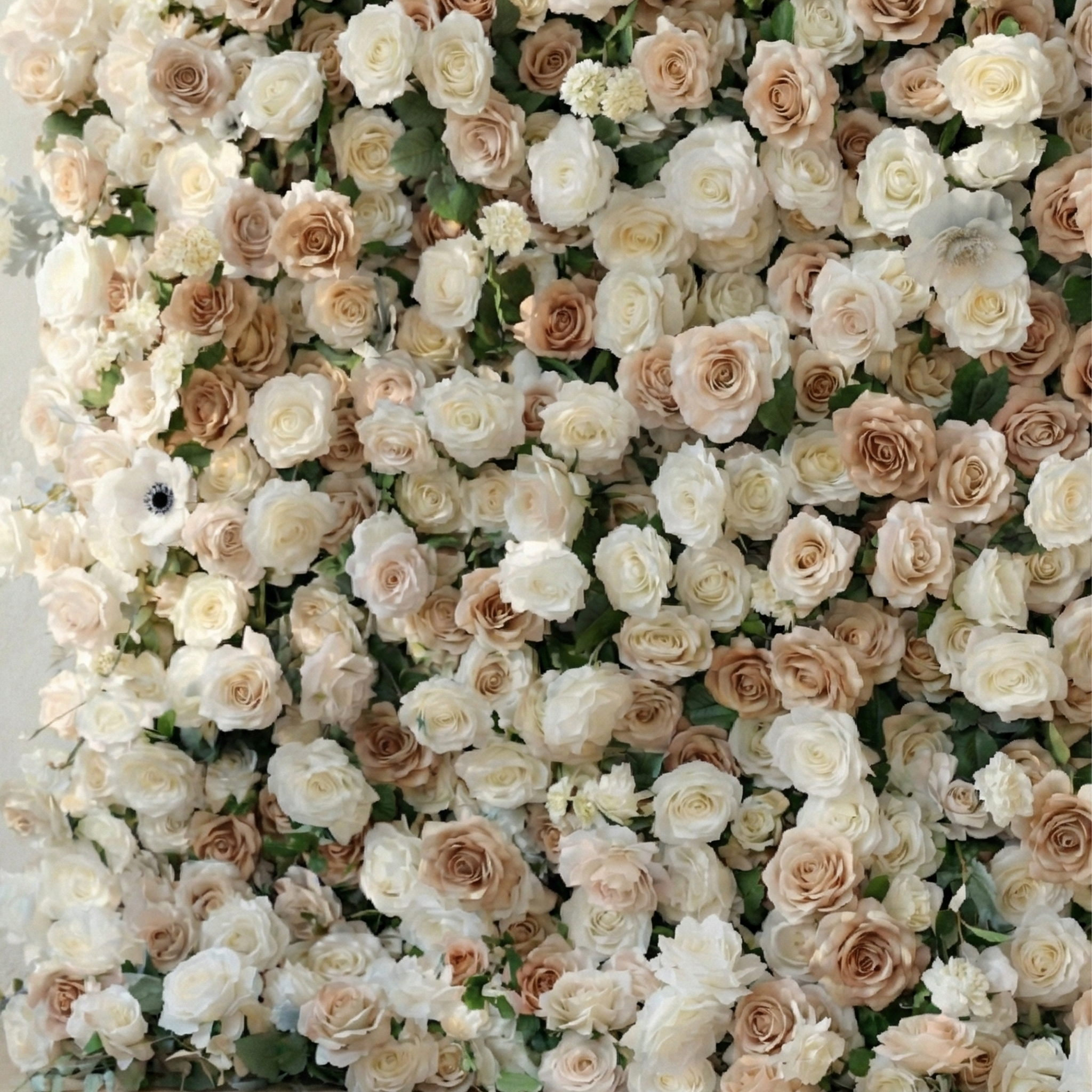 Ziven: 5D Elegant Latte &amp; Ivory Silk Rose Flower Wall Roll-Up Fabric Backdrop for Luxury Wedding &amp; Modern Interior Decor