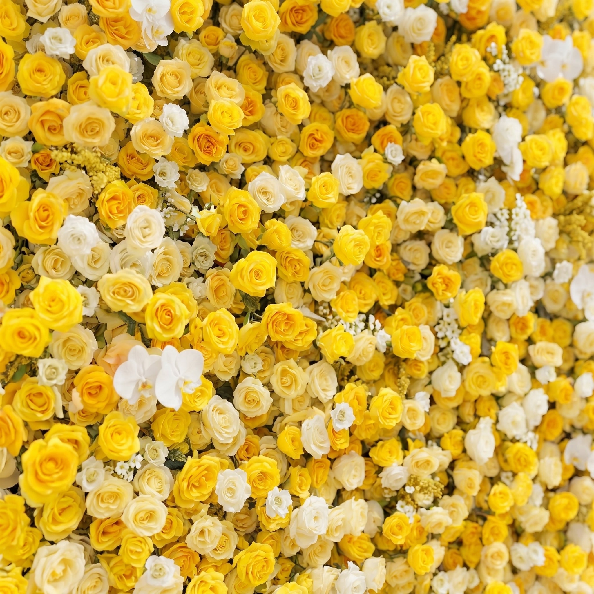 Zorova: Luxury 5D Lemon Yellow &amp; White Silk Floral Wall Backdrop for Vibrant Summer Events