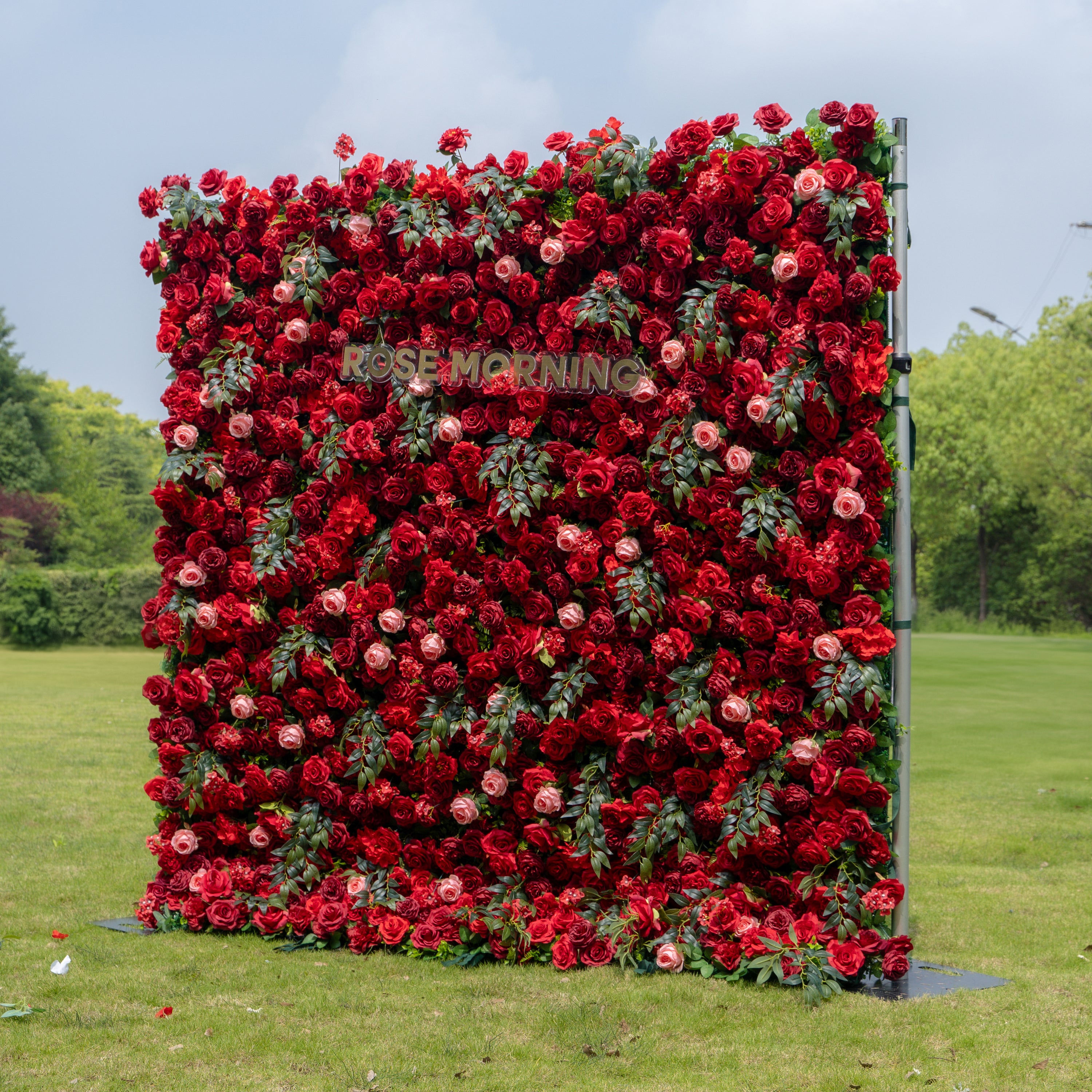 Aileen：5D Fabric Artificial rolling up curtain flower wall (Ship Now from USA) Rose Morning