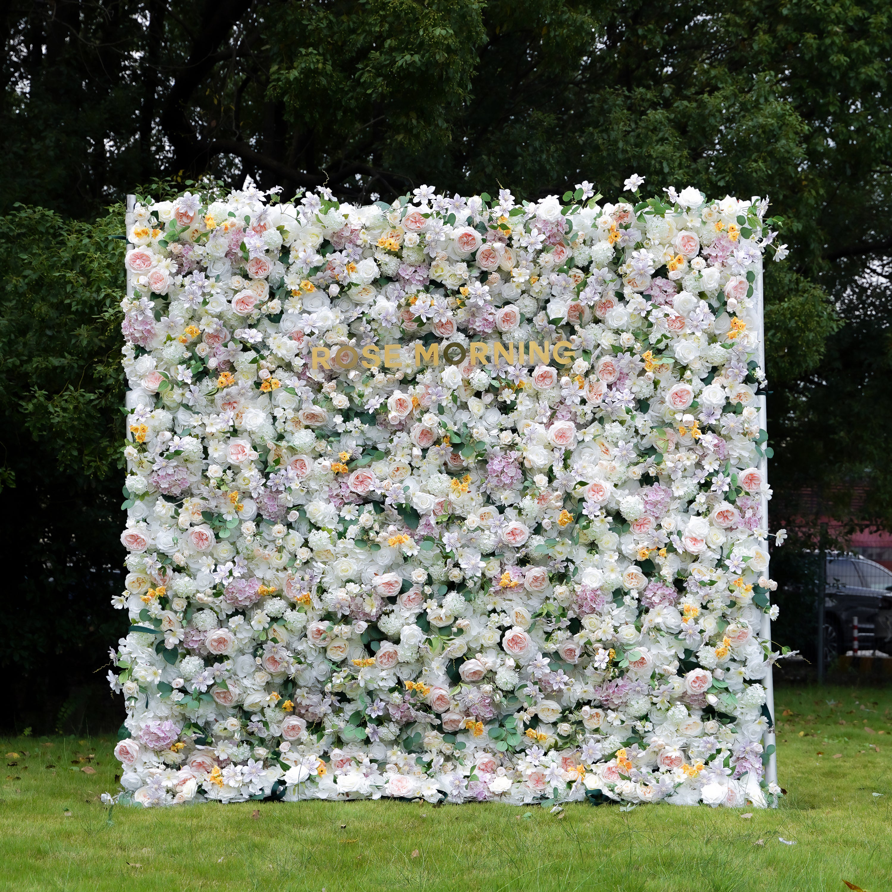 Alexa 5D Fabric Artificial rolling up curtain flower wall Rose Morning