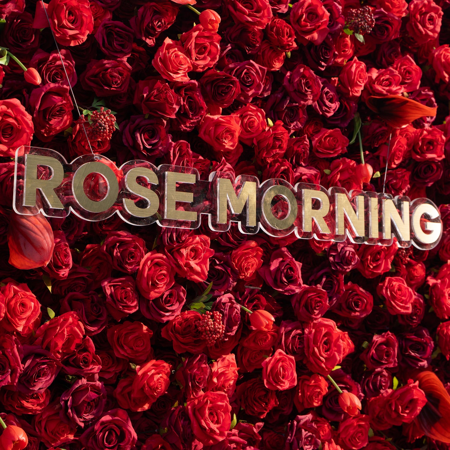 Annelise: 5D Pure Red Silk Rose with Blue hydrangeas Flower Wall Roll-Up Fabric Backdrop for Elegant Weddings &amp; Events Decoration