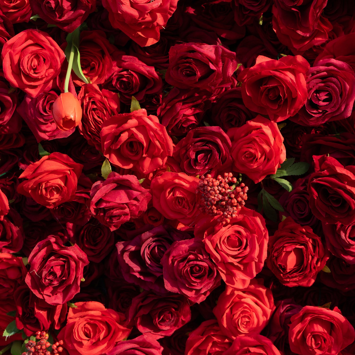 Annelise: 5D Pure Red Silk Rose with Blue hydrangeas Flower Wall Roll-Up Fabric Backdrop for Elegant Weddings &amp; Events Decoration