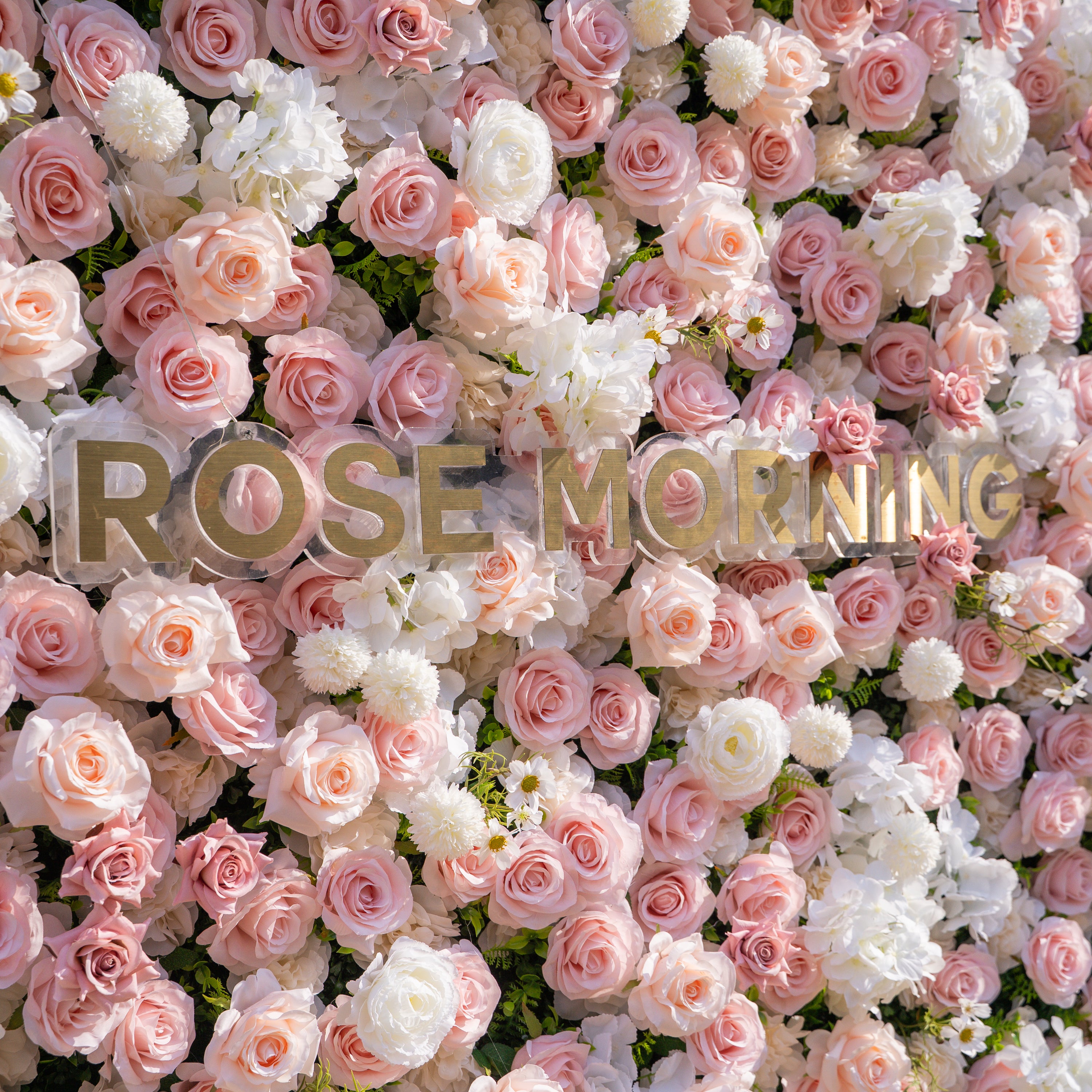 Solara: 3D Elegant Ivory &amp; Blush Rose Silk Flower Wall Curtain for Wedding Ceremony &amp; Events Decor