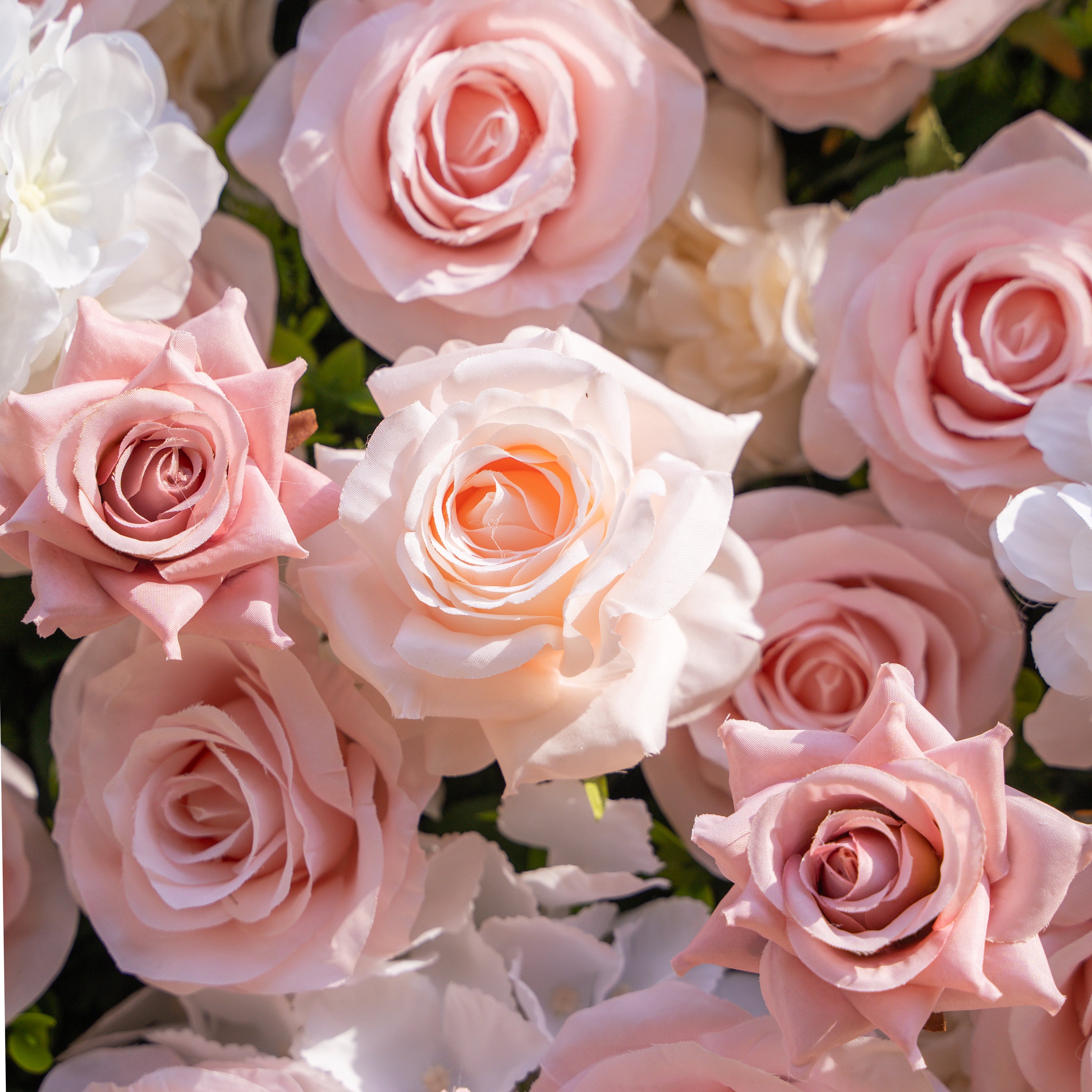 Solara: 3D Elegant Ivory &amp; Blush Rose Silk Flower Wall Curtain for Wedding Ceremony &amp; Events Decor