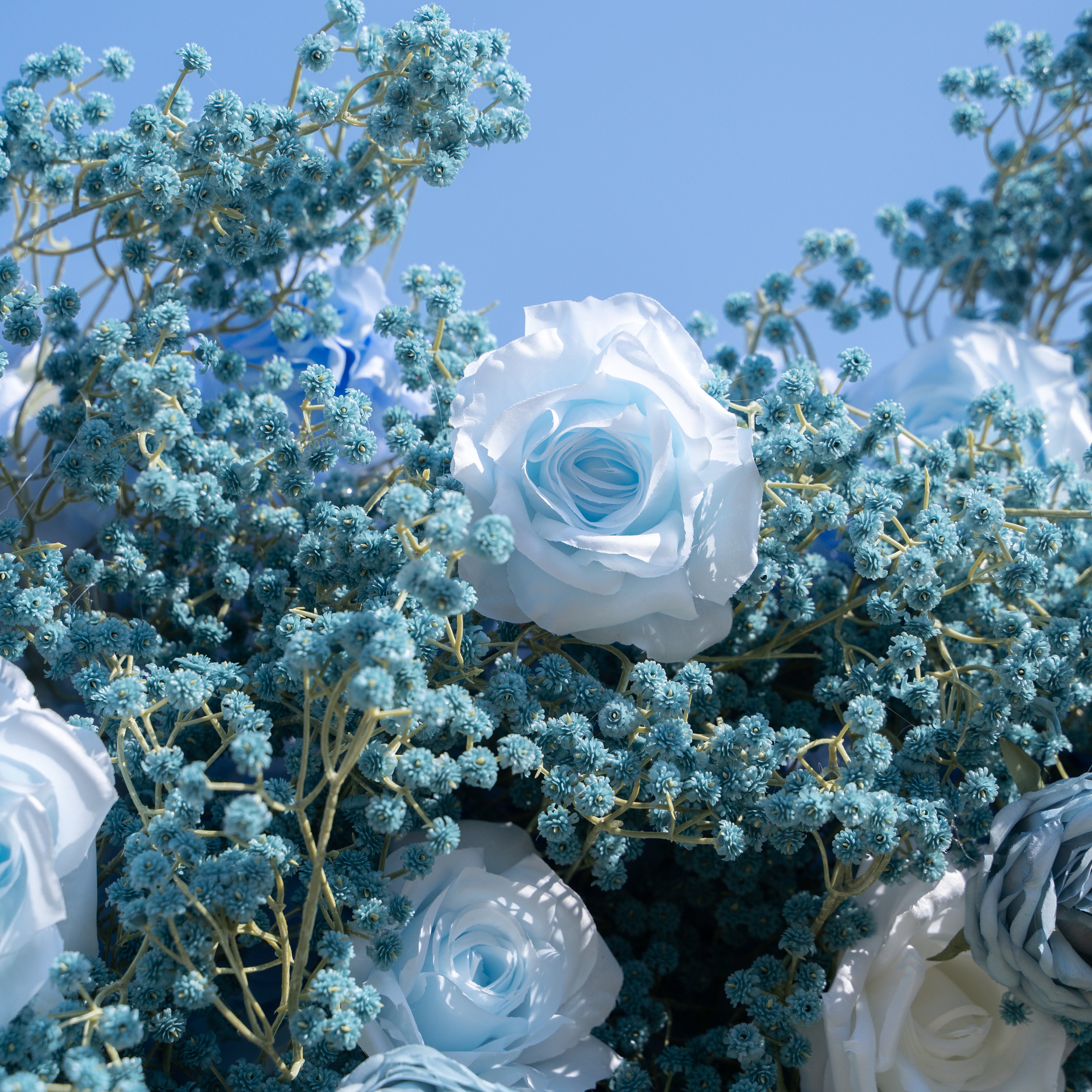 Blue Baby Breath：3D Fabric Artificial rolling up curtain flower wall