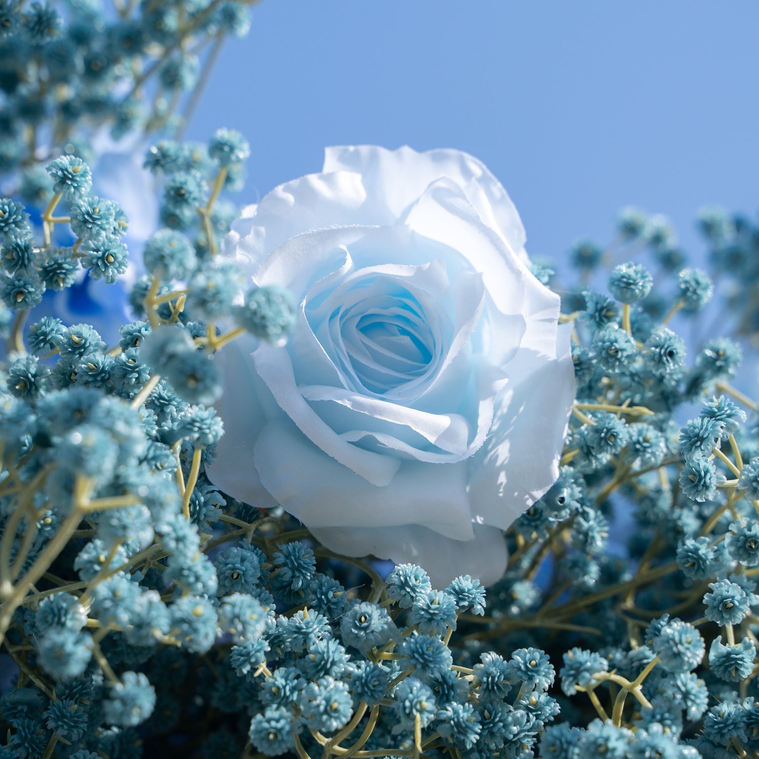 Blue Baby Breath：3D Fabric Artificial rolling up curtain flower wall