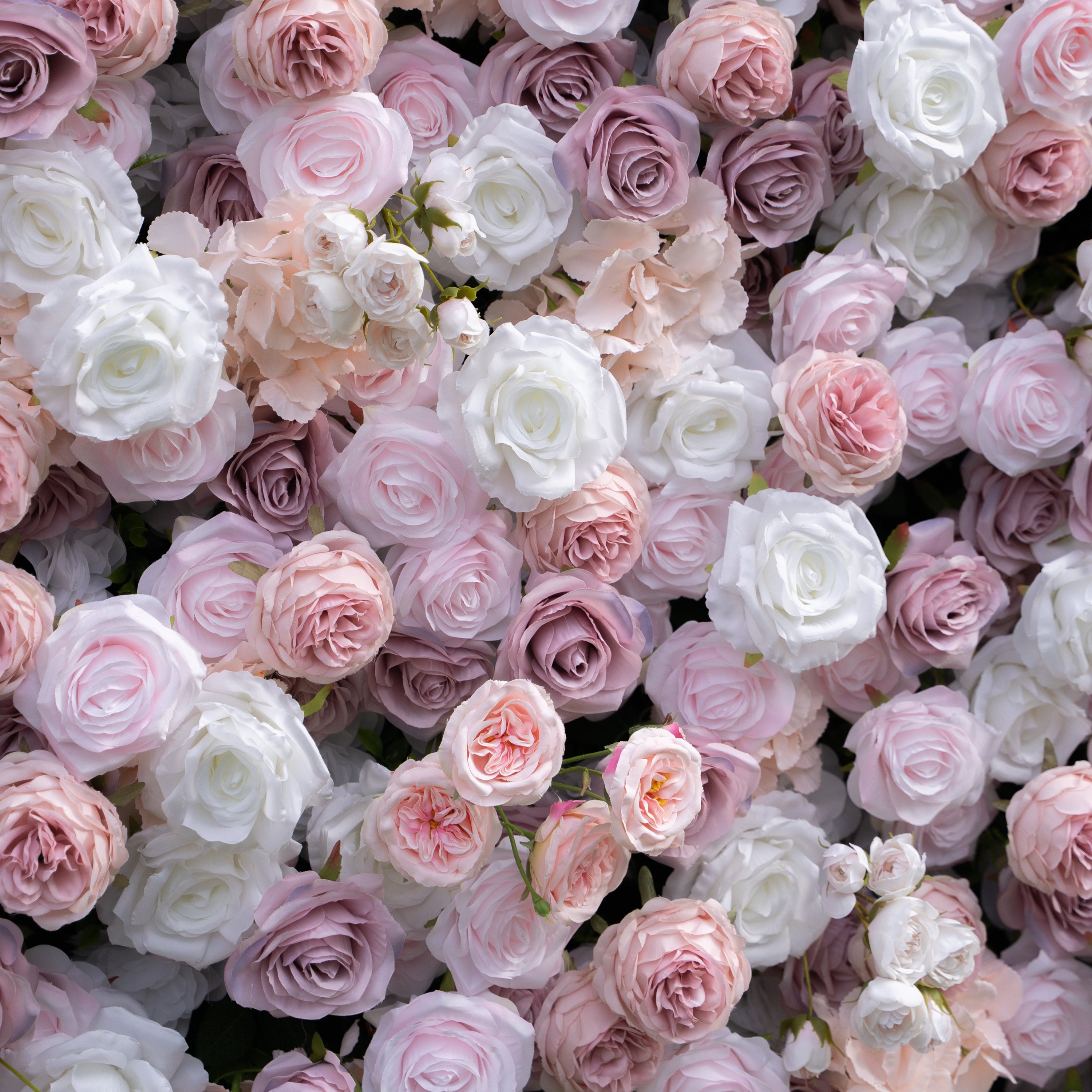 Blessed：5D Fabric Artificial rolling up curtain flower wall