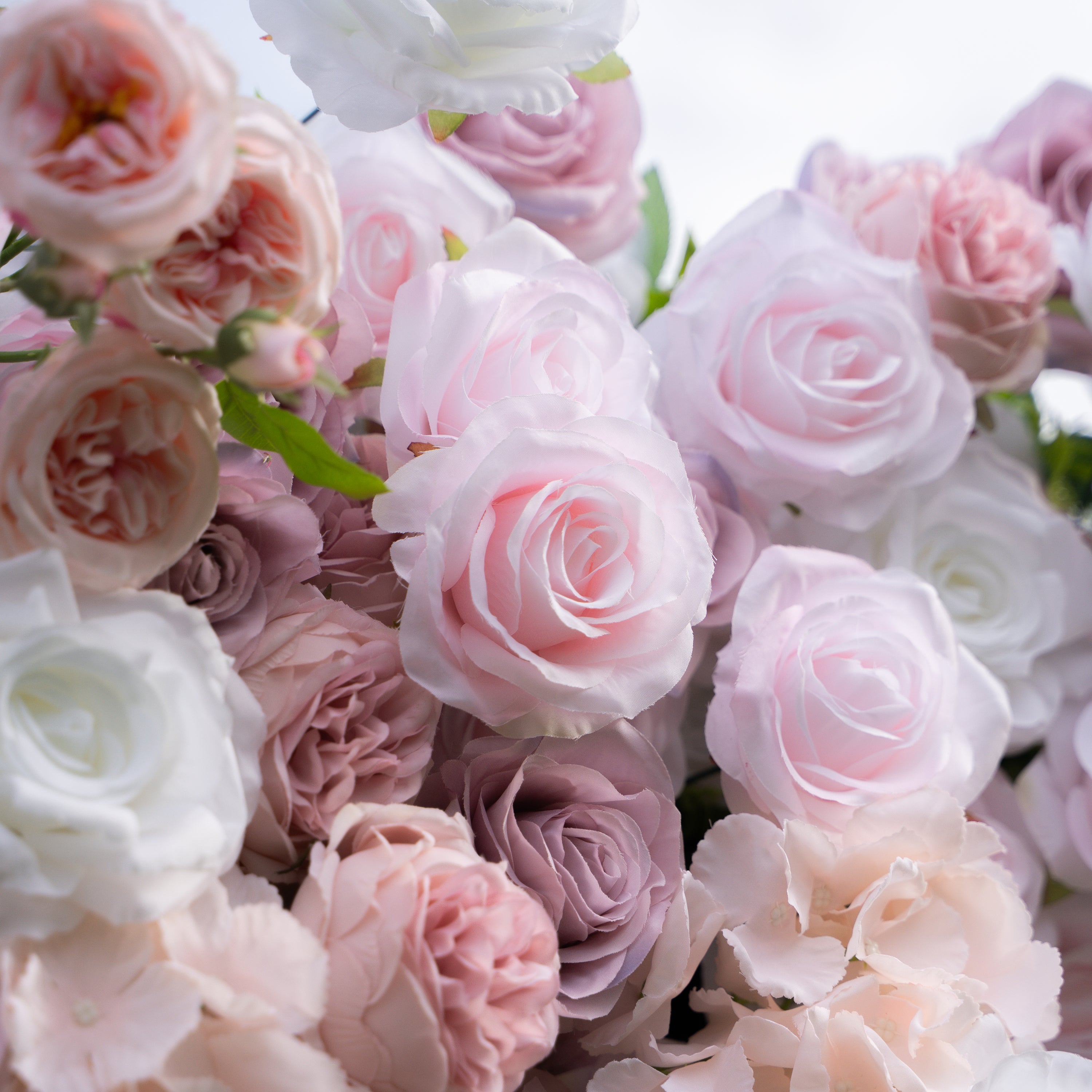 Blessed：5D Fabric Artificial rolling up curtain flower wall