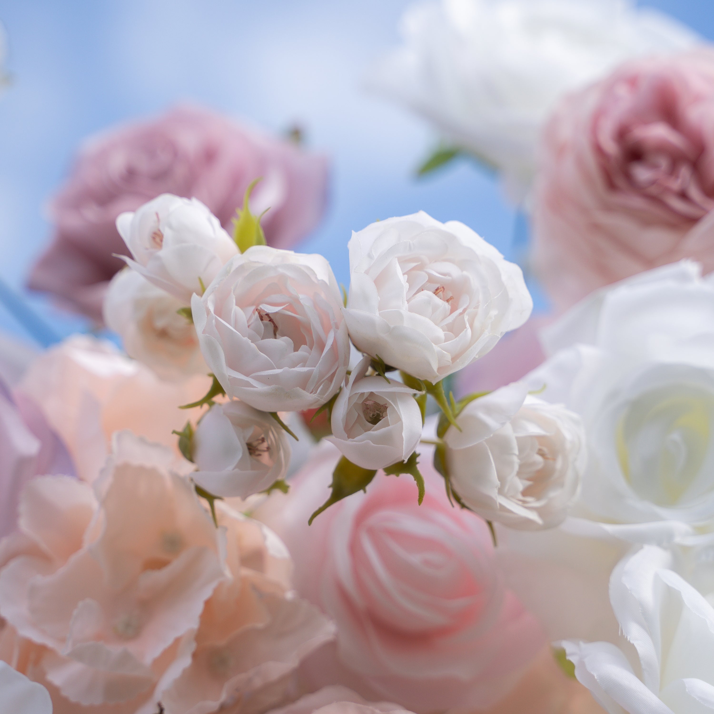 Blessed：5D Fabric Artificial rolling up curtain flower wall