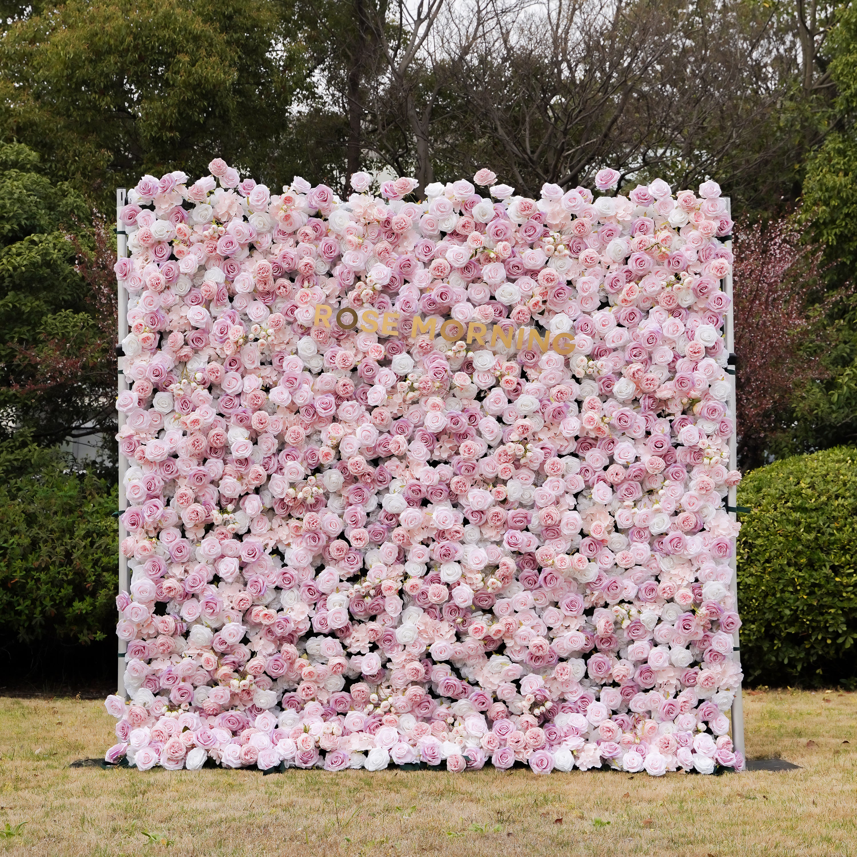 Bliss： Fabric Artificial zip up curtain flower wall 8ft*8ft Rose Morning
