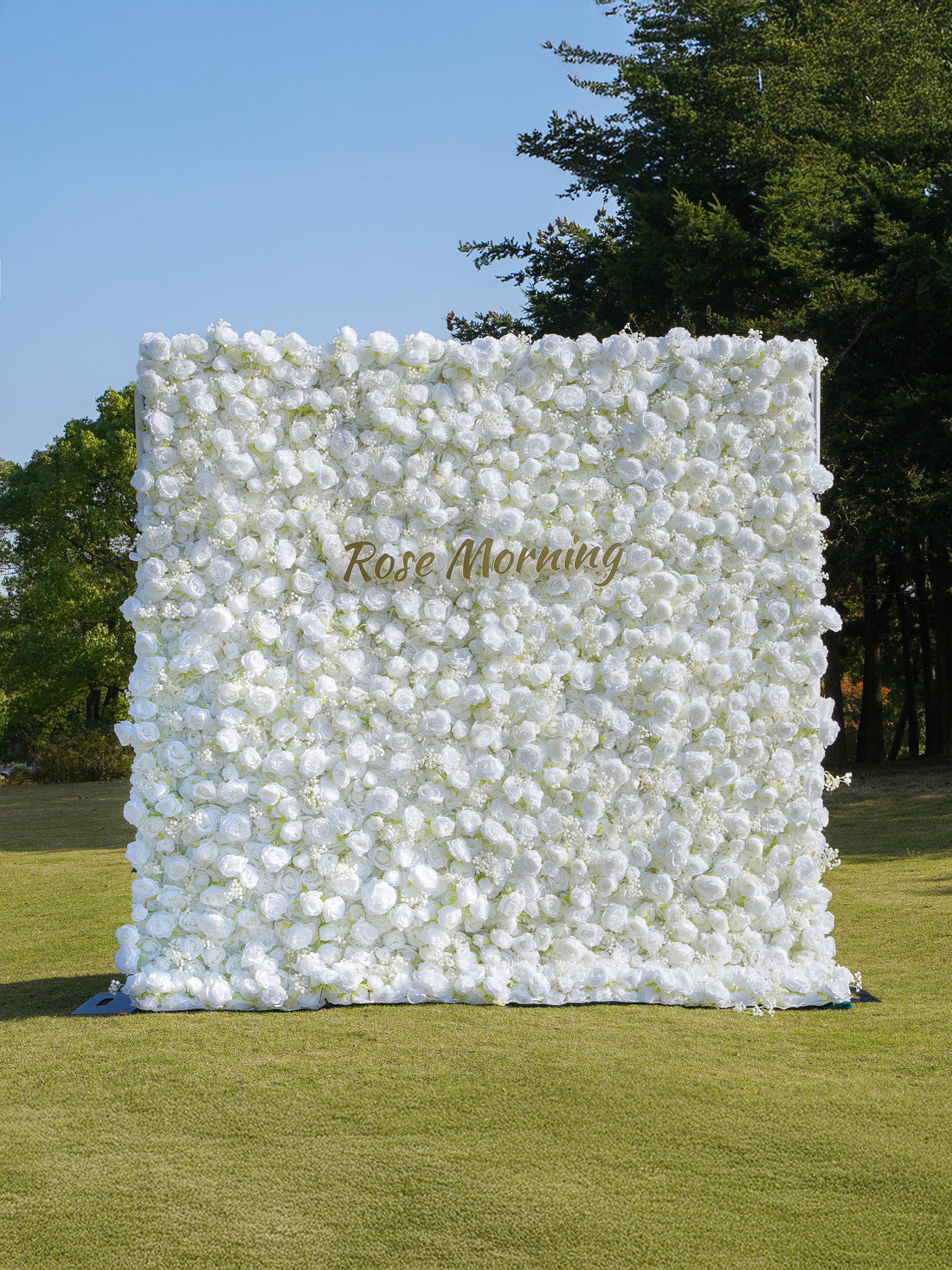 Breath：5D White Roses Fabric Artificial rolling up curtain flower wall