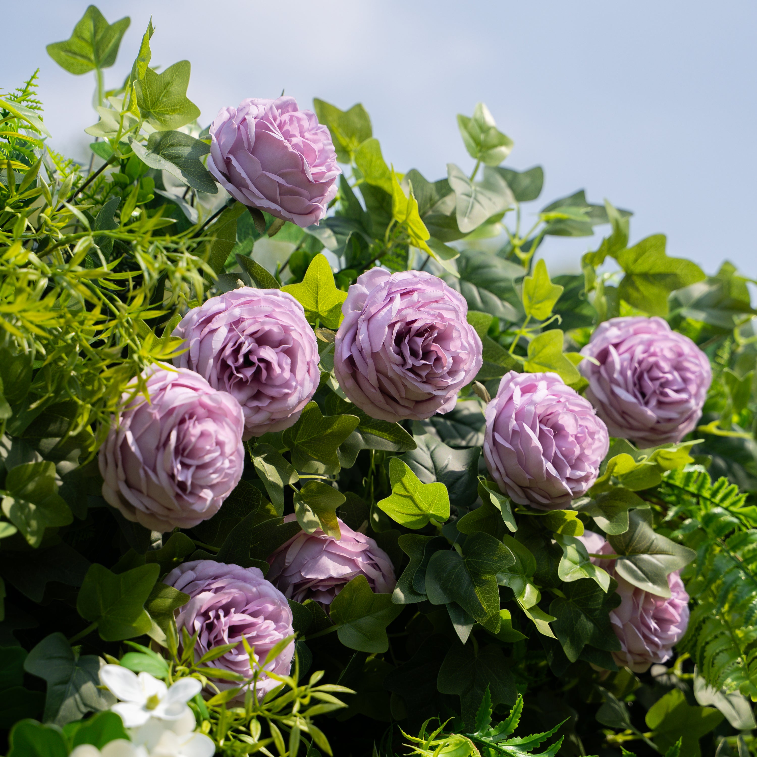 Brett：5D Fabric Artificial rolling up curtain flower wall