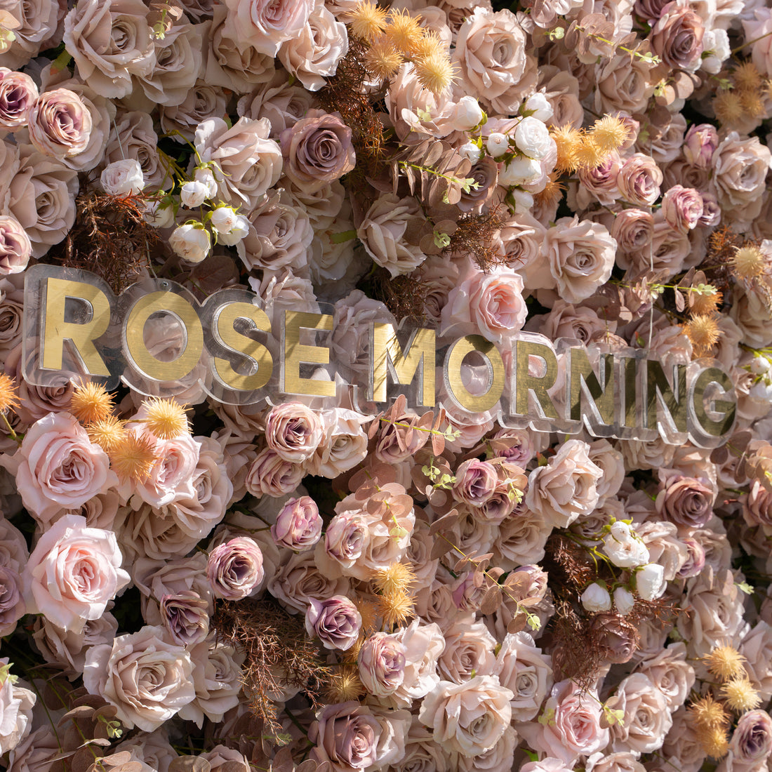 Caffe：5D Fabric Artificial rolling up curtain flower wall