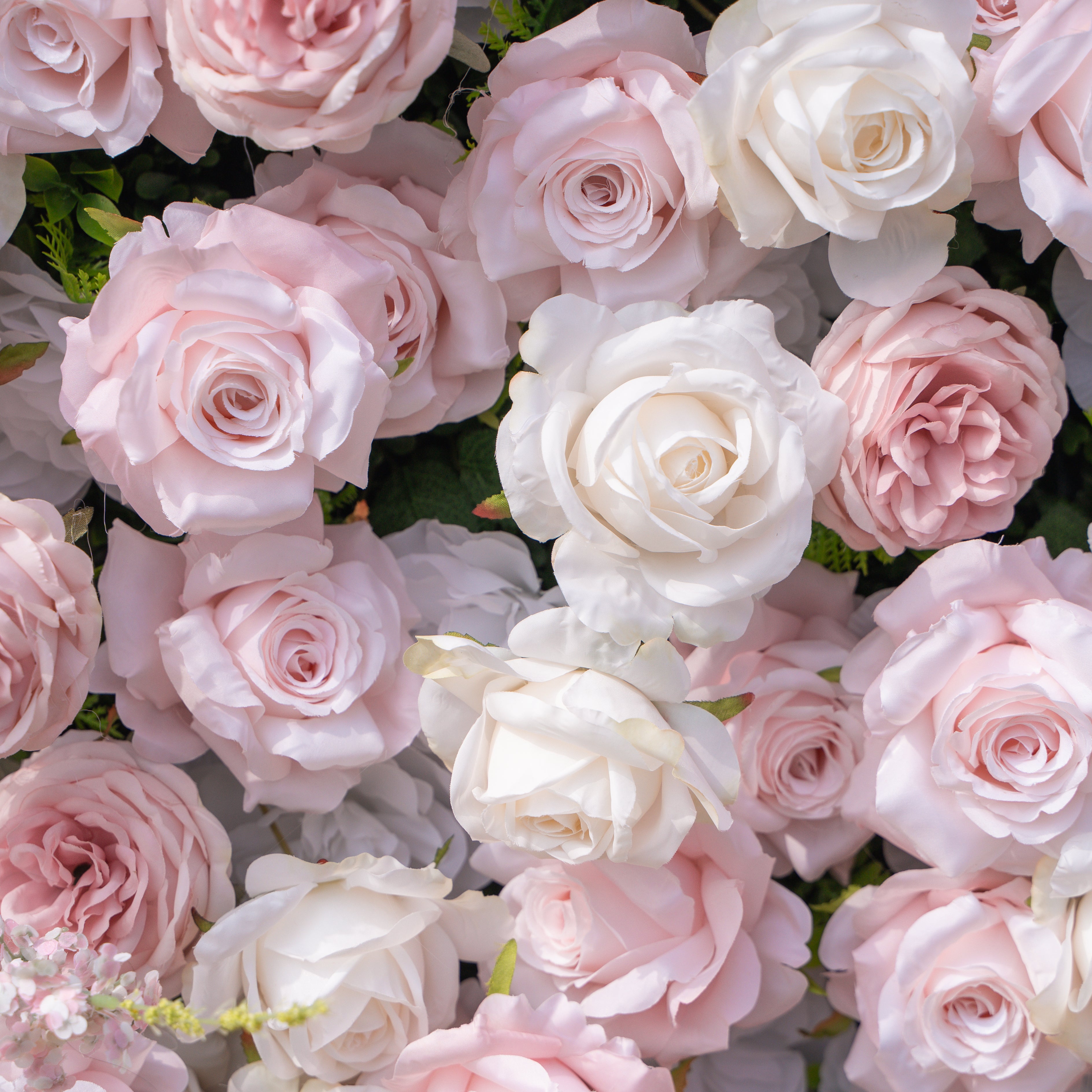 Caius: Luxury 5D Cream &amp; Blush Silk Floral Wall Roll-Up Fabric Backdrop for Dreamy Garden Weddings &amp; Bridal Showers