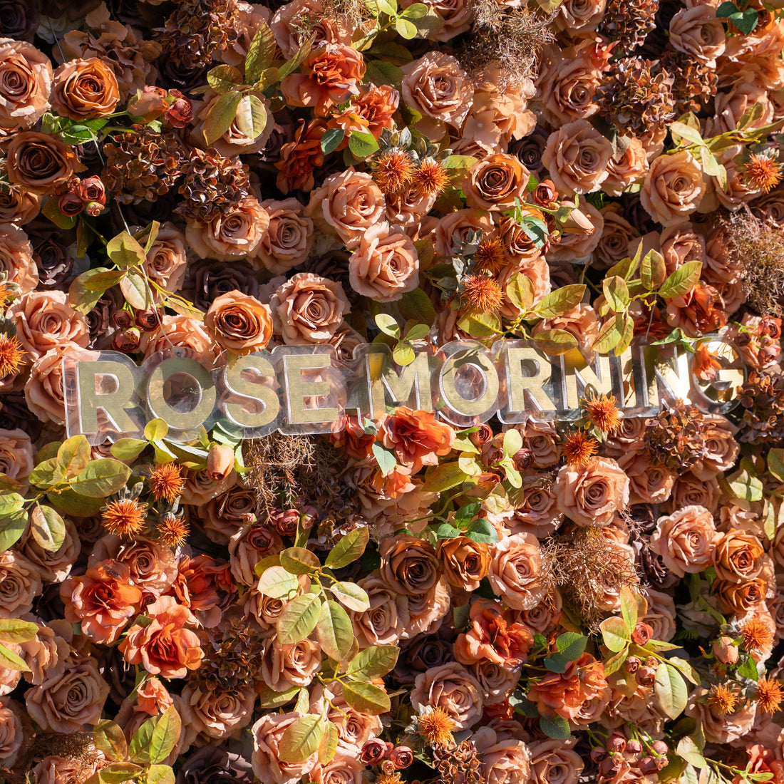 Cappuccino：5D Fabric Artificial rolling up curtain flower wall