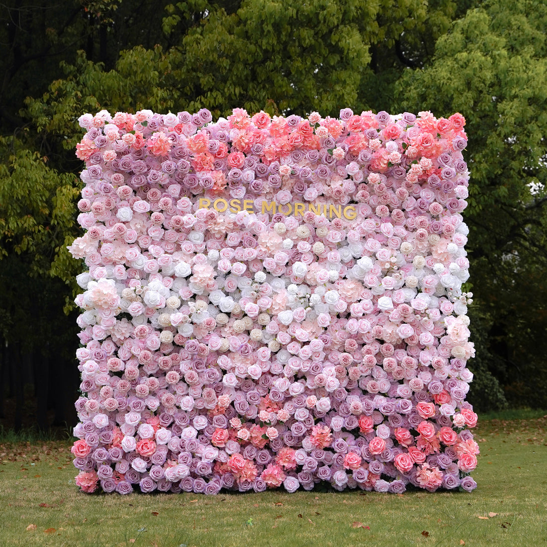 Ciana：5D Fabric Artificial rolling up curtain flower wall Rose Morning