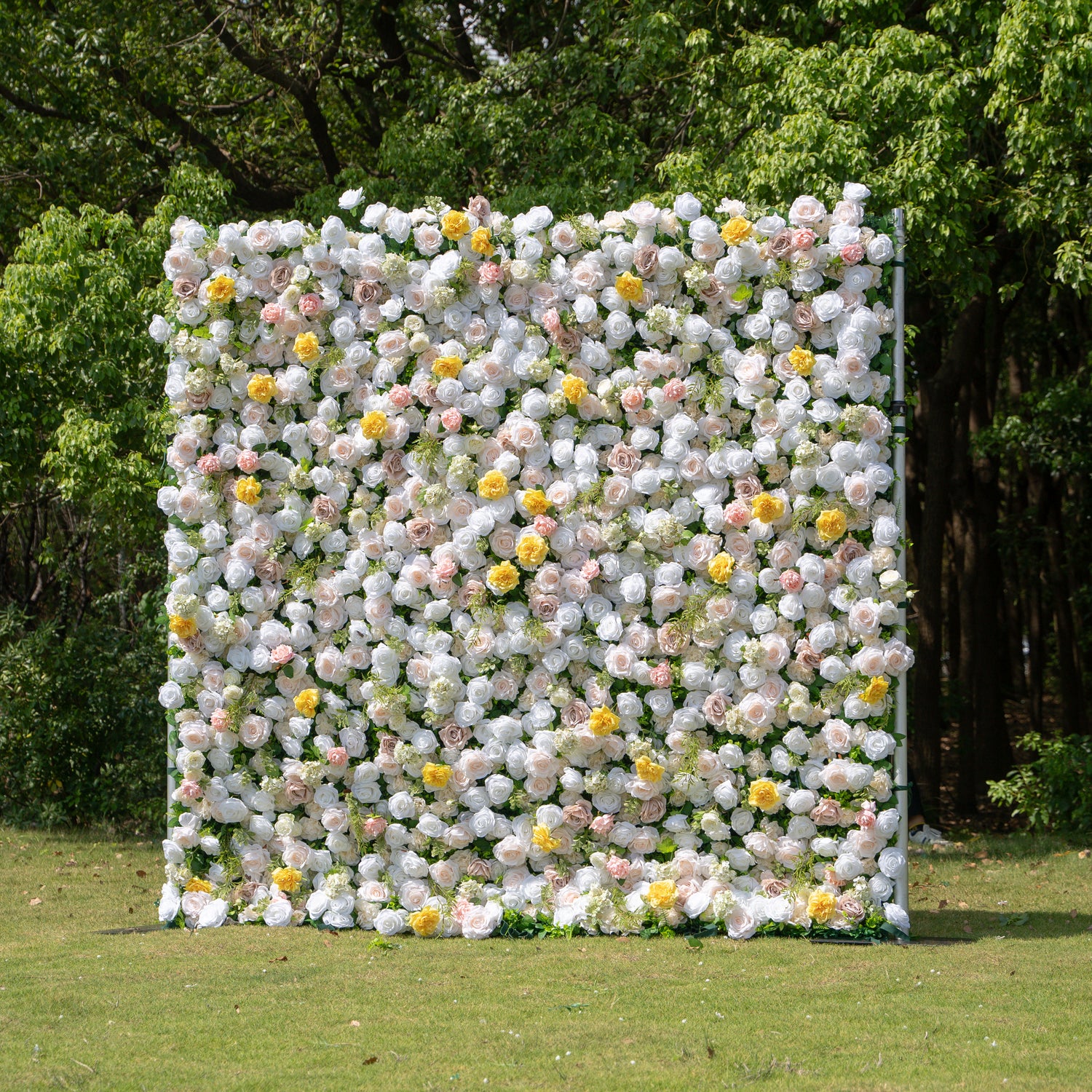 Ciao：5D Fabric Artificial rolling up curtain flower wall (Ready to ship) Rose Morning