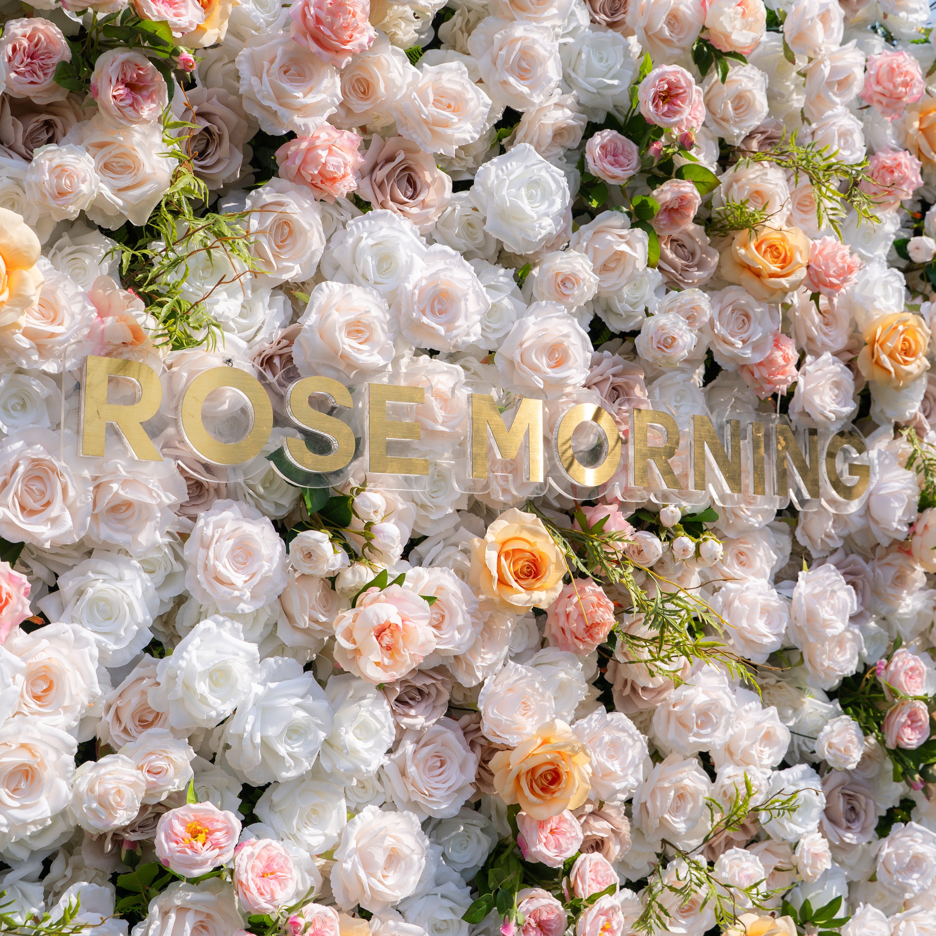 Corissa：5D Fabric Artificial zip up curtain flower wall 8ft*8ft