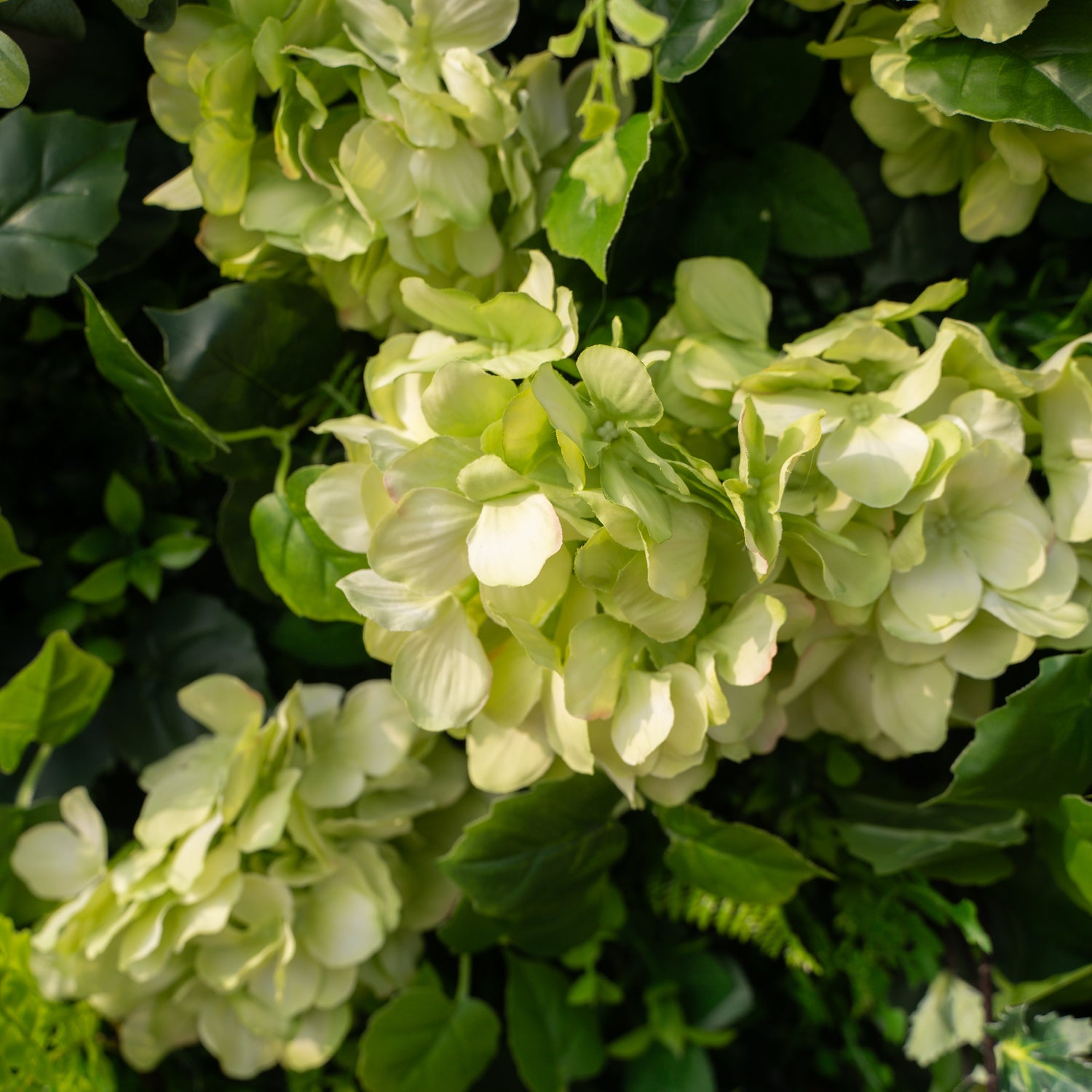 Cressida: 3D Elegant White Silk Rose &amp; Greenery Foliage Wall Roll-Up Fabric Backdrop for Luxury Weddings, Parties &amp; Botanical Decor