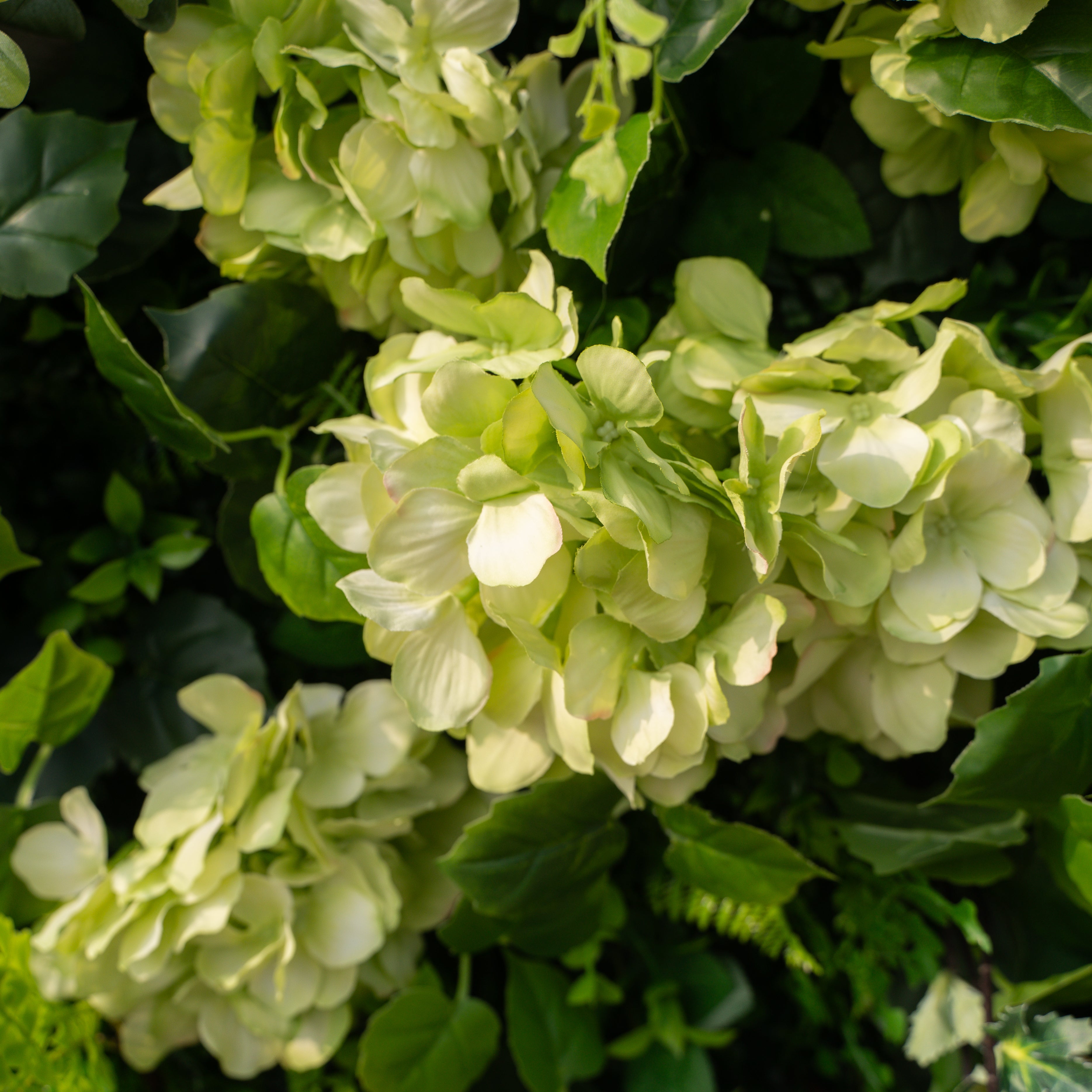 Cressida: 3D Elegant White Silk Rose &amp; Greenery Foliage Wall Roll-Up Fabric Backdrop for Luxury Weddings, Parties &amp; Botanical Decor