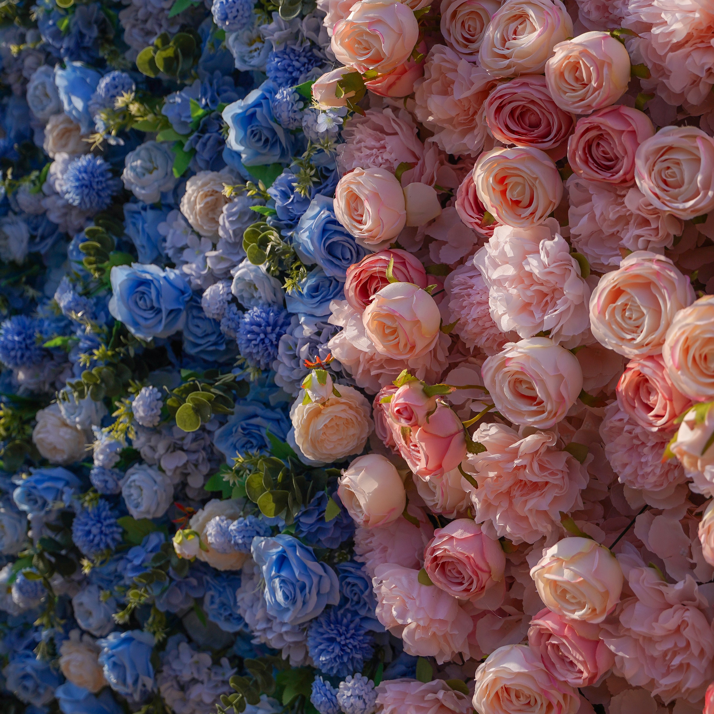 Cyan：5D 2023 Fabric Artificial rolling up curtain flower wall Rose Morning