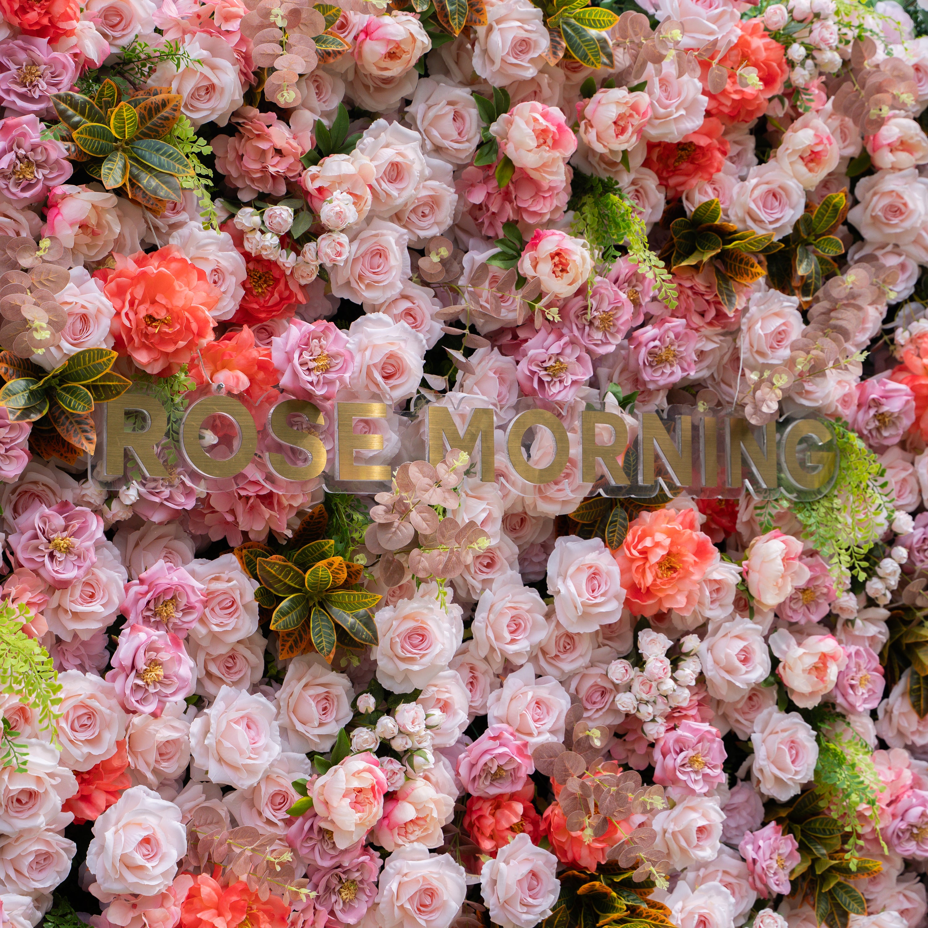 Daniela ：5D Fabric Artificial rolling up curtain flower wall